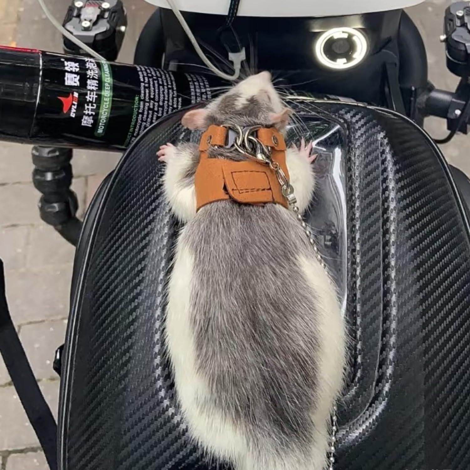 Paquete de 3 Arnés Ajustable para Ratas SEZDEKI - Cuero Suave