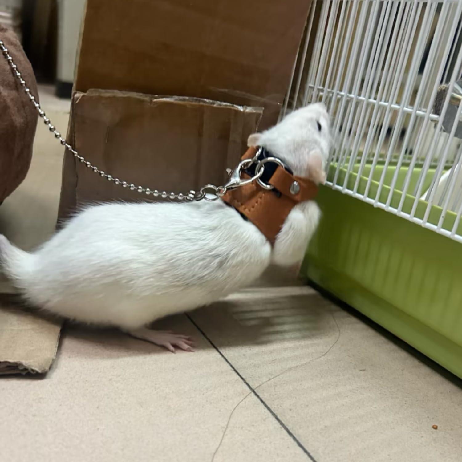 Paquete de 3 Arnés Ajustable para Ratas SEZDEKI - Cuero Suave