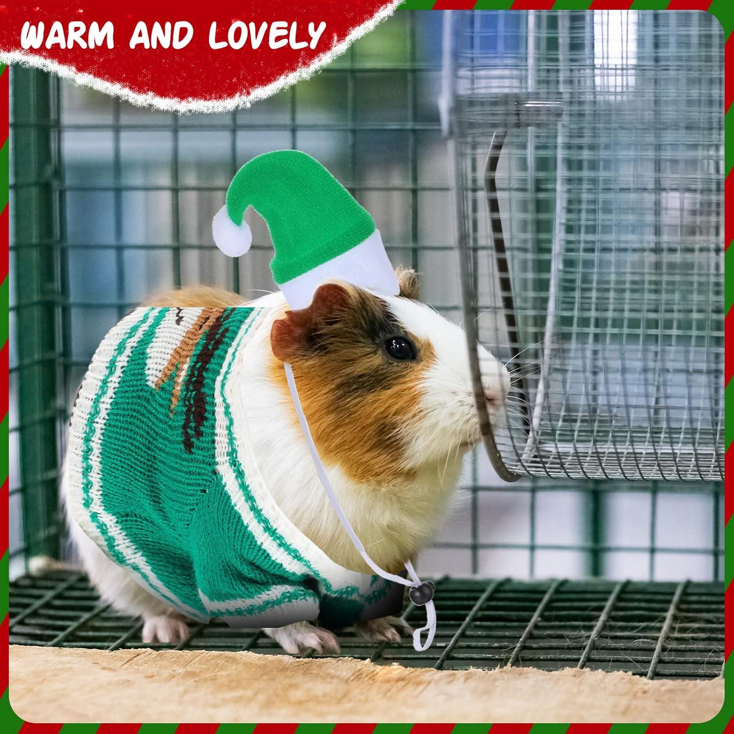 Ropa para Cobayas Mixweer 4 Piezas: 2 Ropa y 2 Sombreros