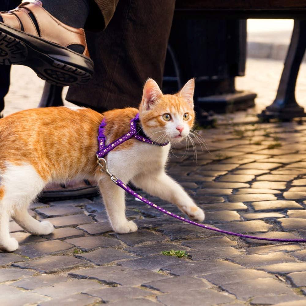 Conjunto Arnés y Correa para Gatos Baeuppit Púrpura Ajustable