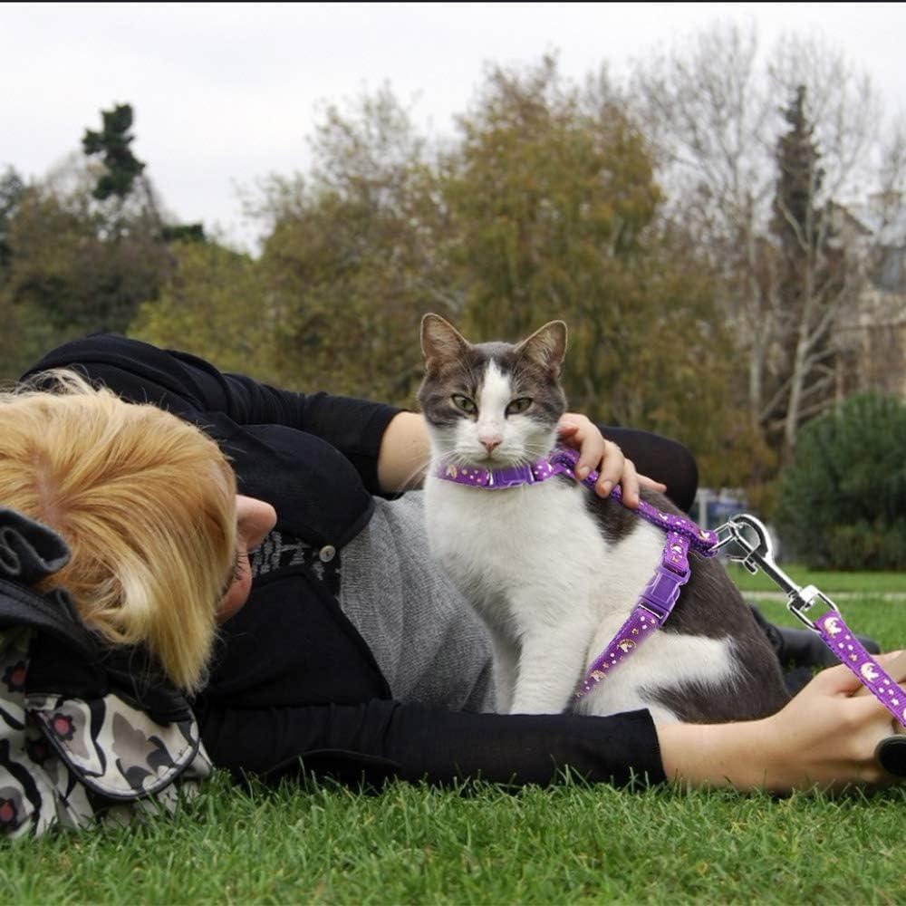 Conjunto Arnés y Correa para Gatos Baeuppit Púrpura Ajustable