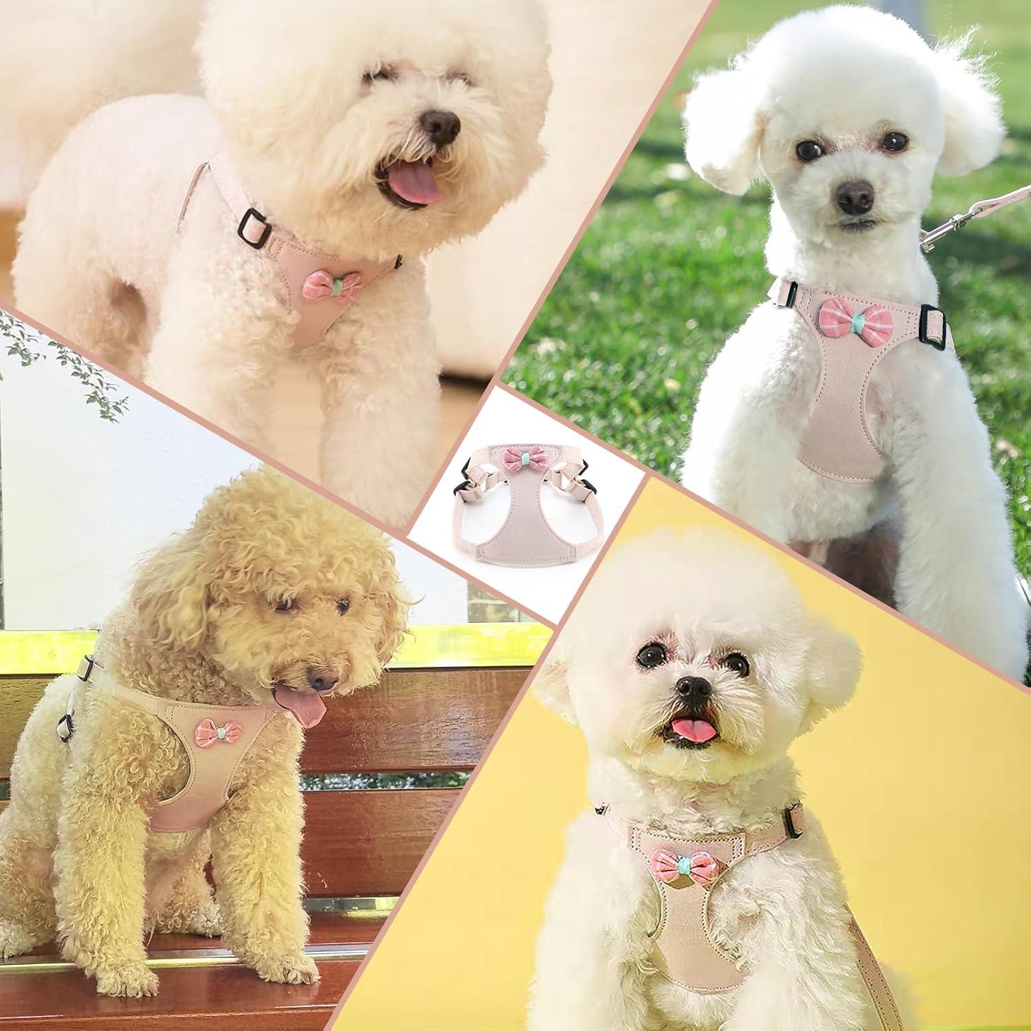 Arnés para Perro Pequeño Rosa Sakura XS con Correa y Pajarita