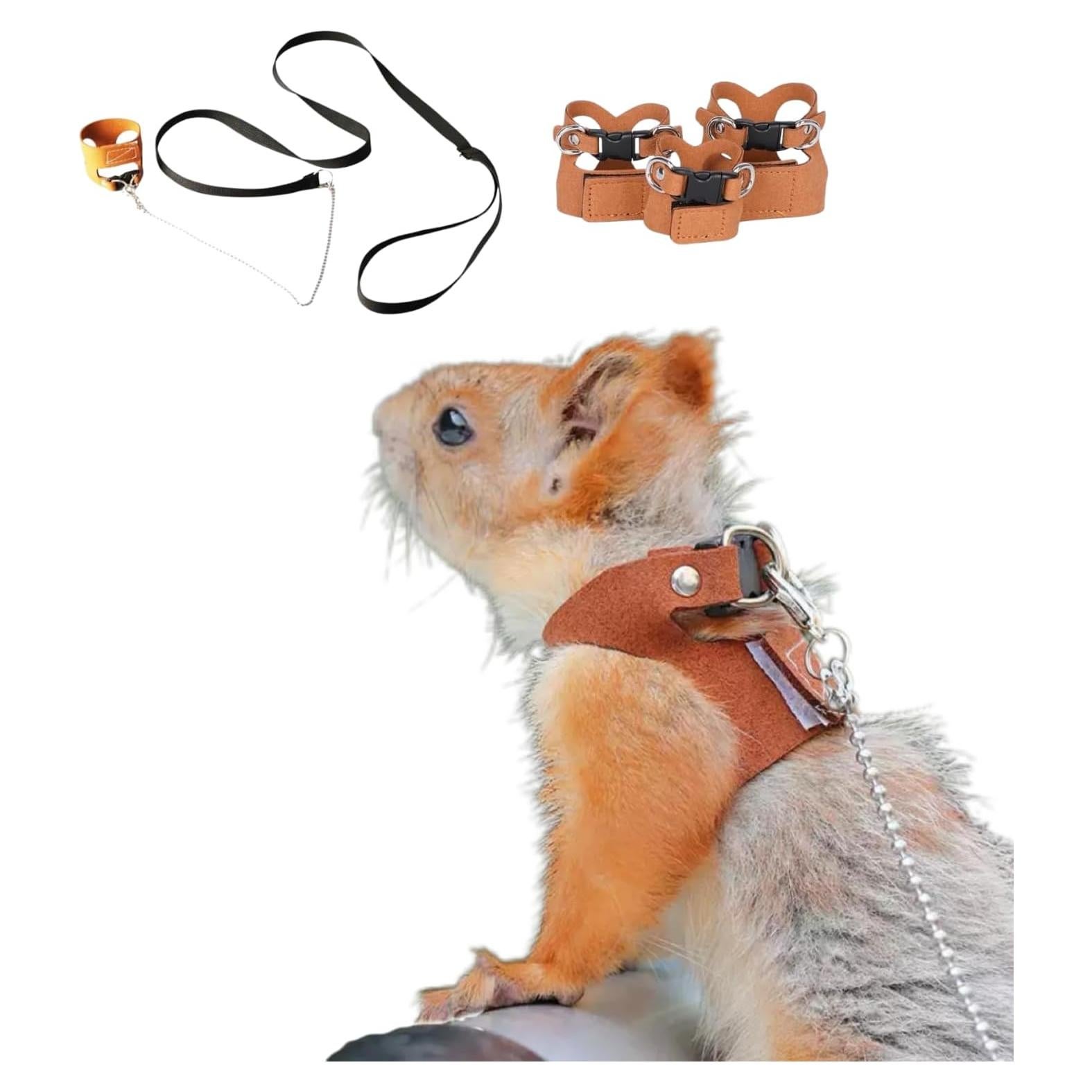Juego de Arnés y Correa TTMIMIK para Ardillas - 3 Tamaños