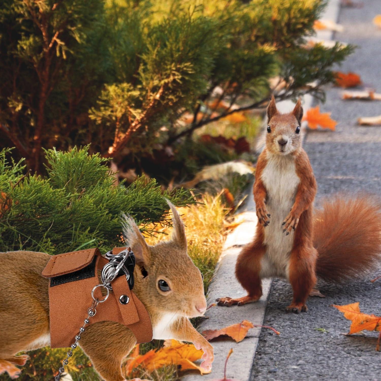 Juego de Arnés y Correa TTMIMIK para Ardillas - 3 Tamaños