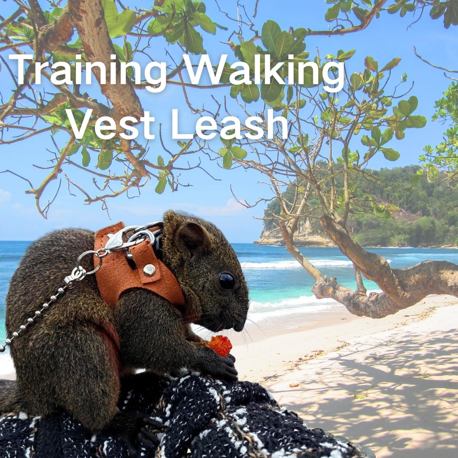 Juego de Arnés y Correa TTMIMIK para Ardillas - 3 Tamaños