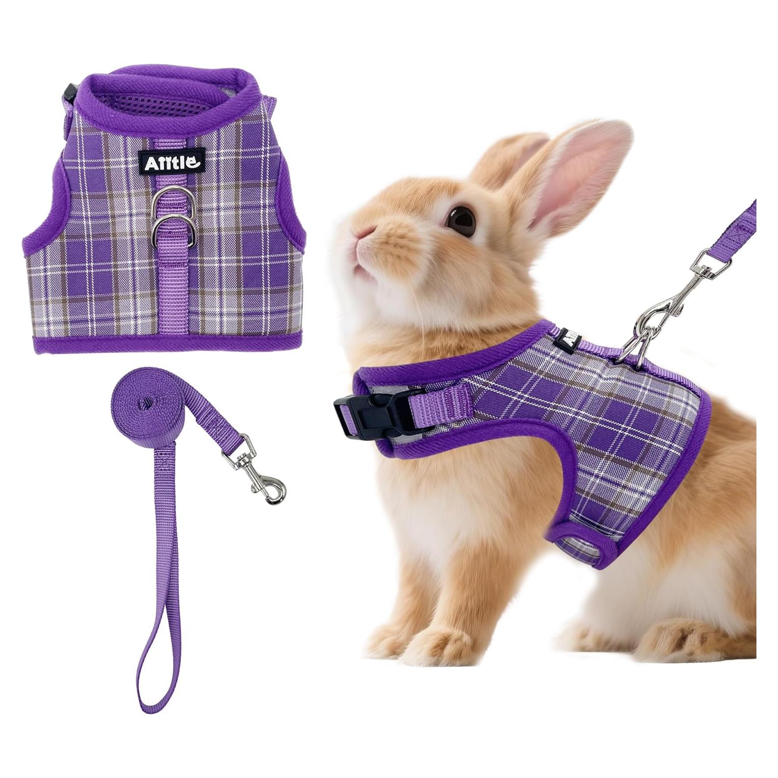 Arnés y Correa para Conejo AIITLE S Púrpura Acolchado Malla