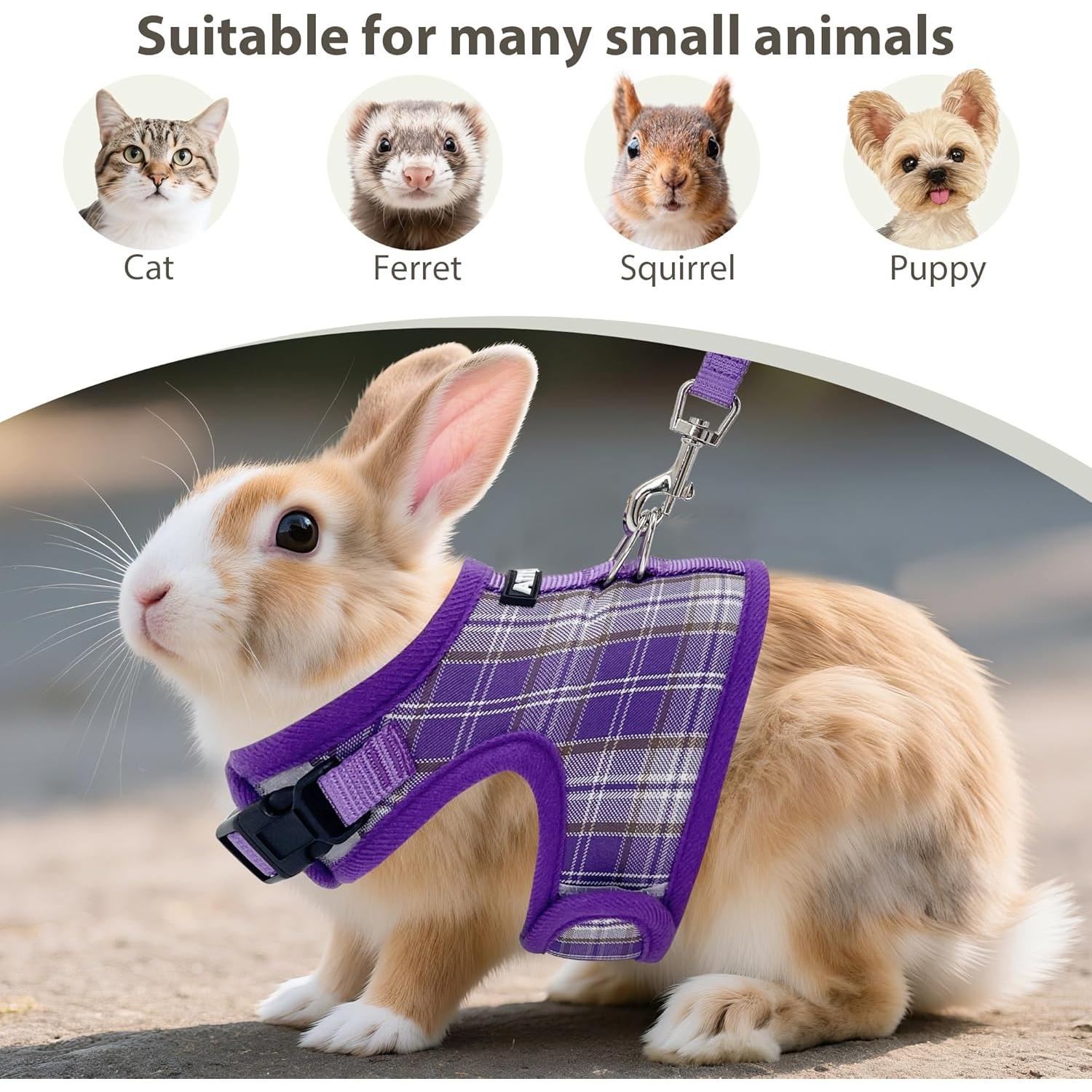 Arnés y Correa para Conejo AIITLE S Púrpura Acolchado Malla