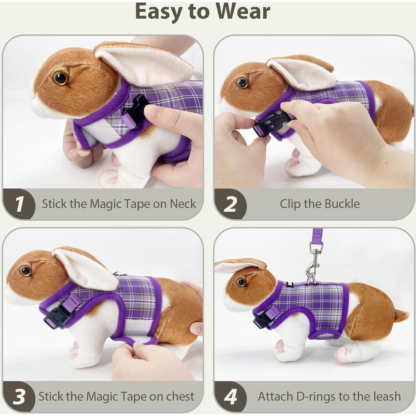 Arnés y Correa para Conejo AIITLE S Púrpura Acolchado Malla