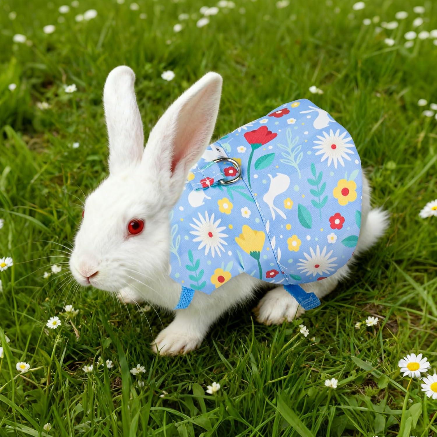 Conjunto Arnés y Correa para Conejos HDFCLUP 3 Piezas Rosa/Azul