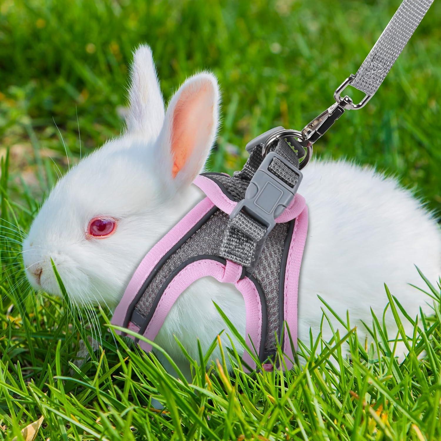 Arnés y Correa Ajustable Exclaith para Conejos y Gatos Rosa