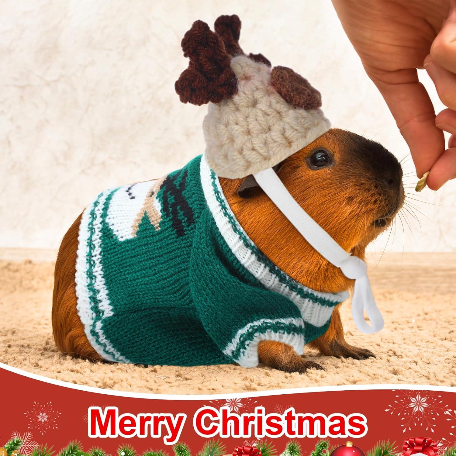 10 Piezas Ropa para Cobayas Clysee - 5 Chalecos y 5 Sombreros Mini