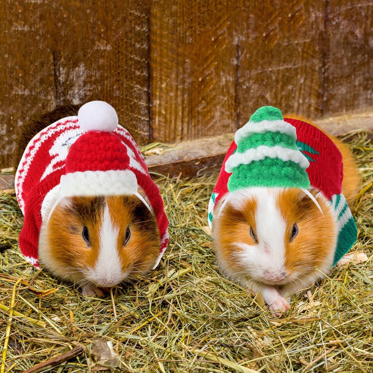 10 Piezas Ropa para Cobayas Clysee - 5 Chalecos y 5 Sombreros Mini