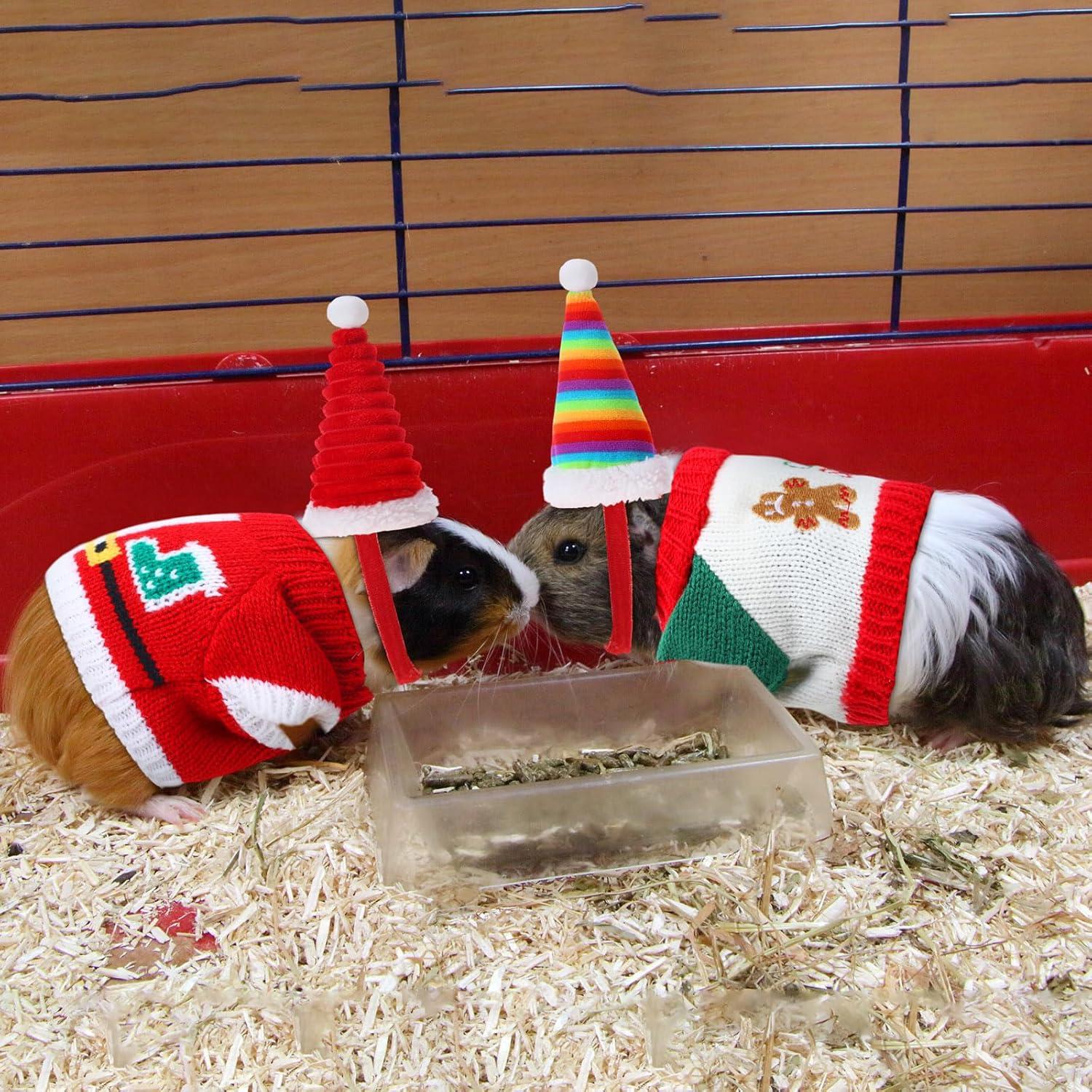 10 Piezas Ropa para Cobayas Clysee - 5 Chalecos y 5 Sombreros Mini