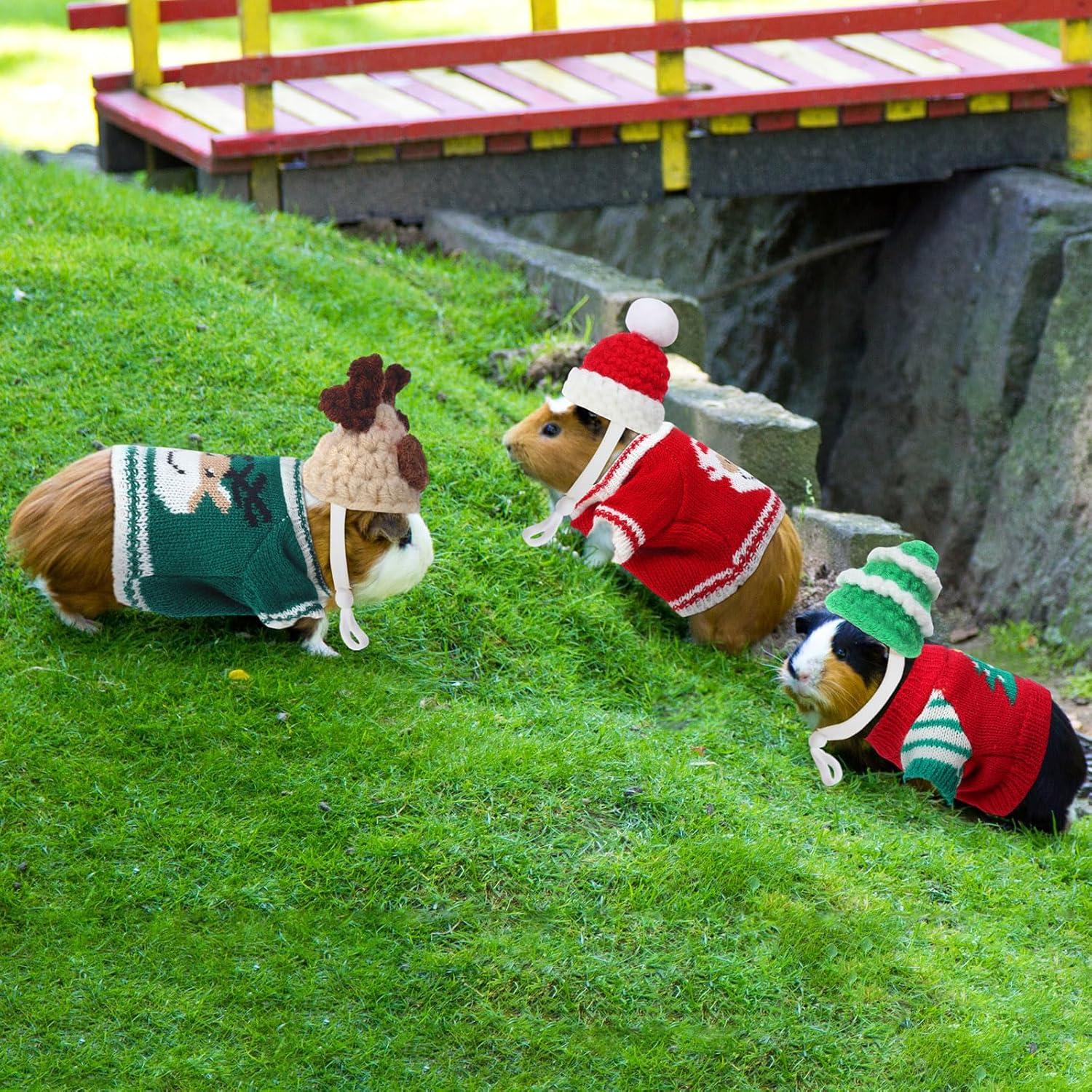 10 Piezas Ropa para Cobayas Clysee - 5 Chalecos y 5 Sombreros Mini