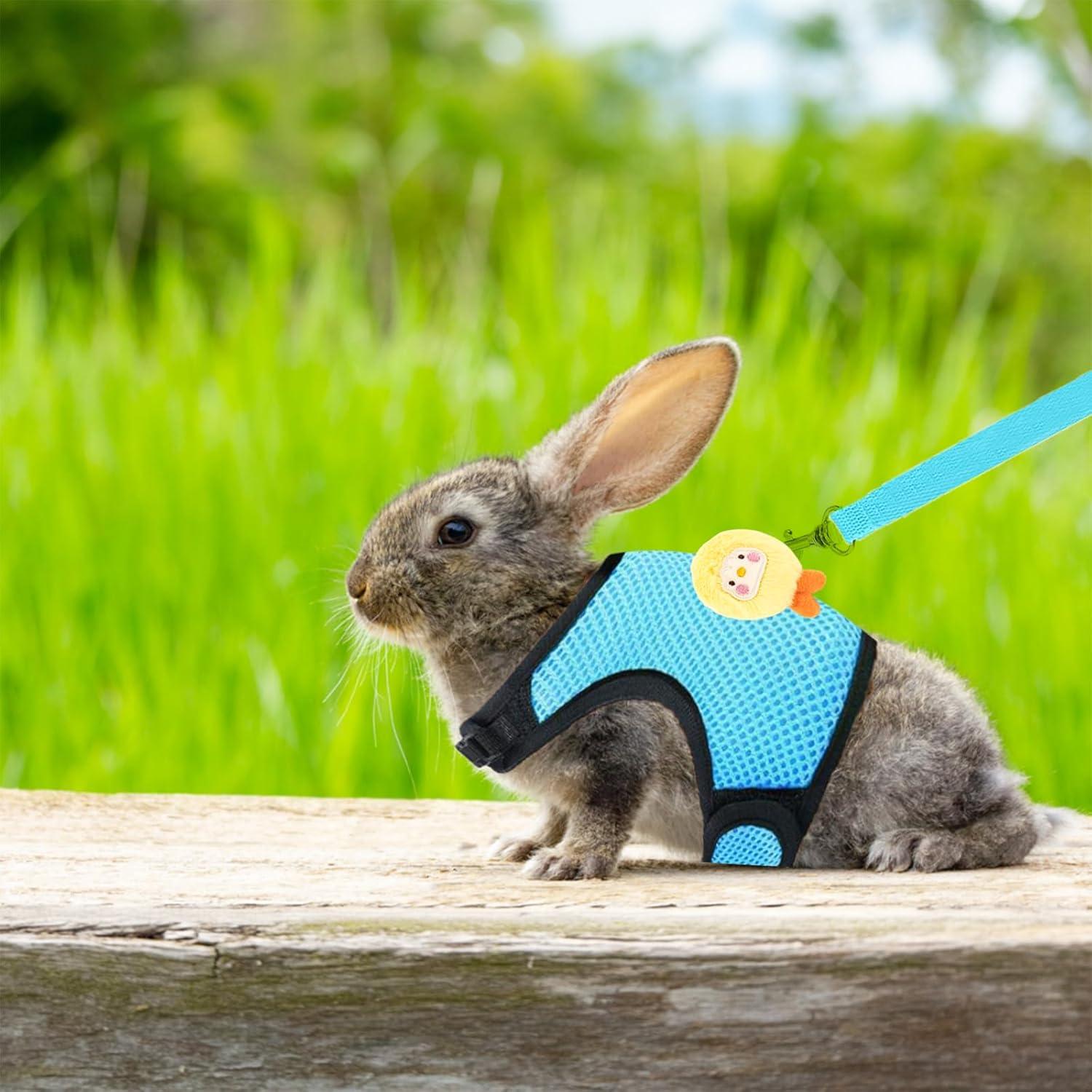 Juego de Arnés y Correa Ajustable para Conejos Xorim - Rosa/Azul