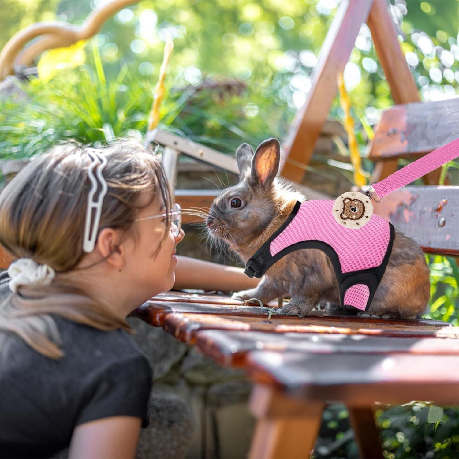 Juego de Arnés y Correa Ajustable para Conejos Xorim - Rosa/Azul