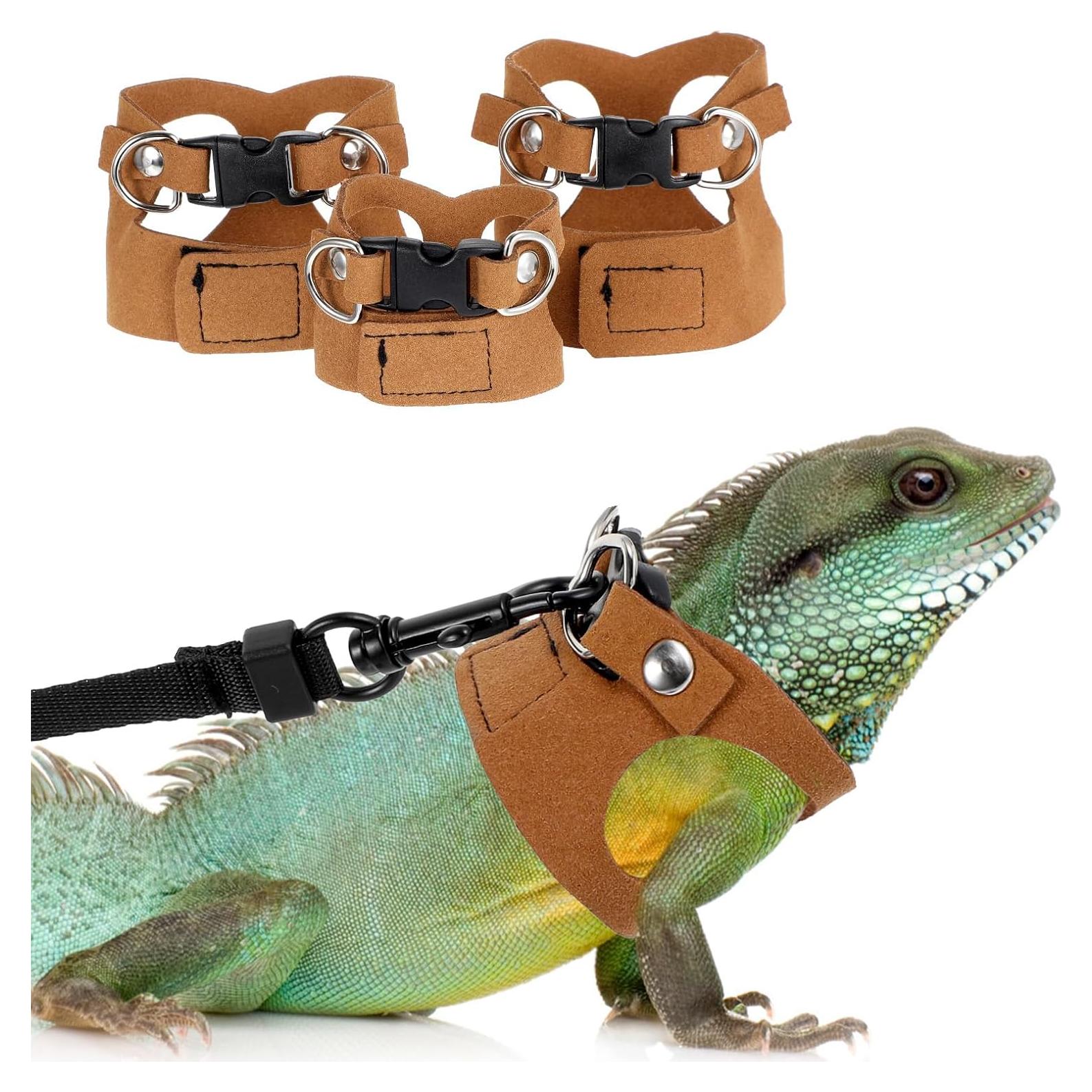 Juego de Arnés y Correa Ajustable Quilax para Dragón Barbudo