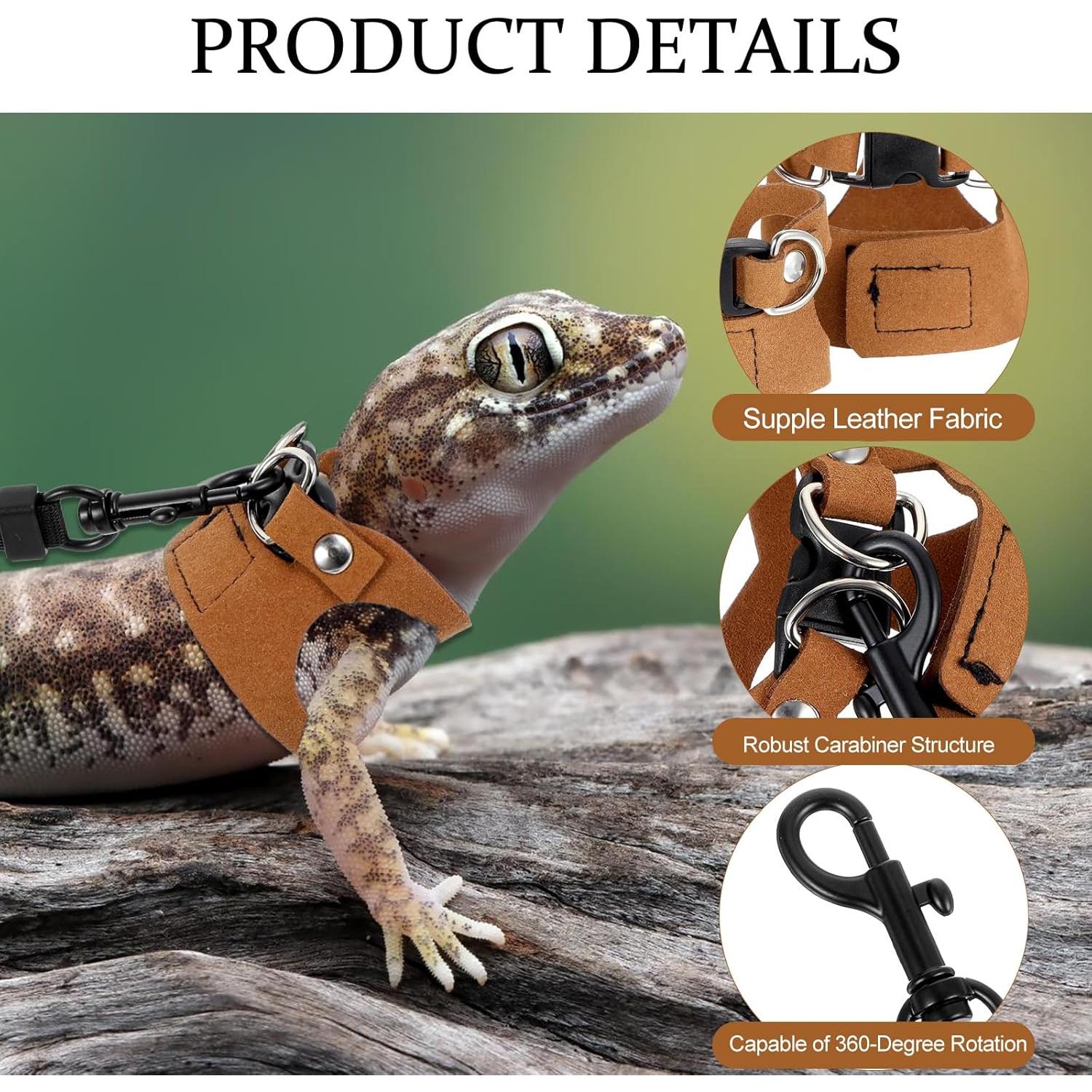 Juego de Arnés y Correa Ajustable Quilax para Dragón Barbudo