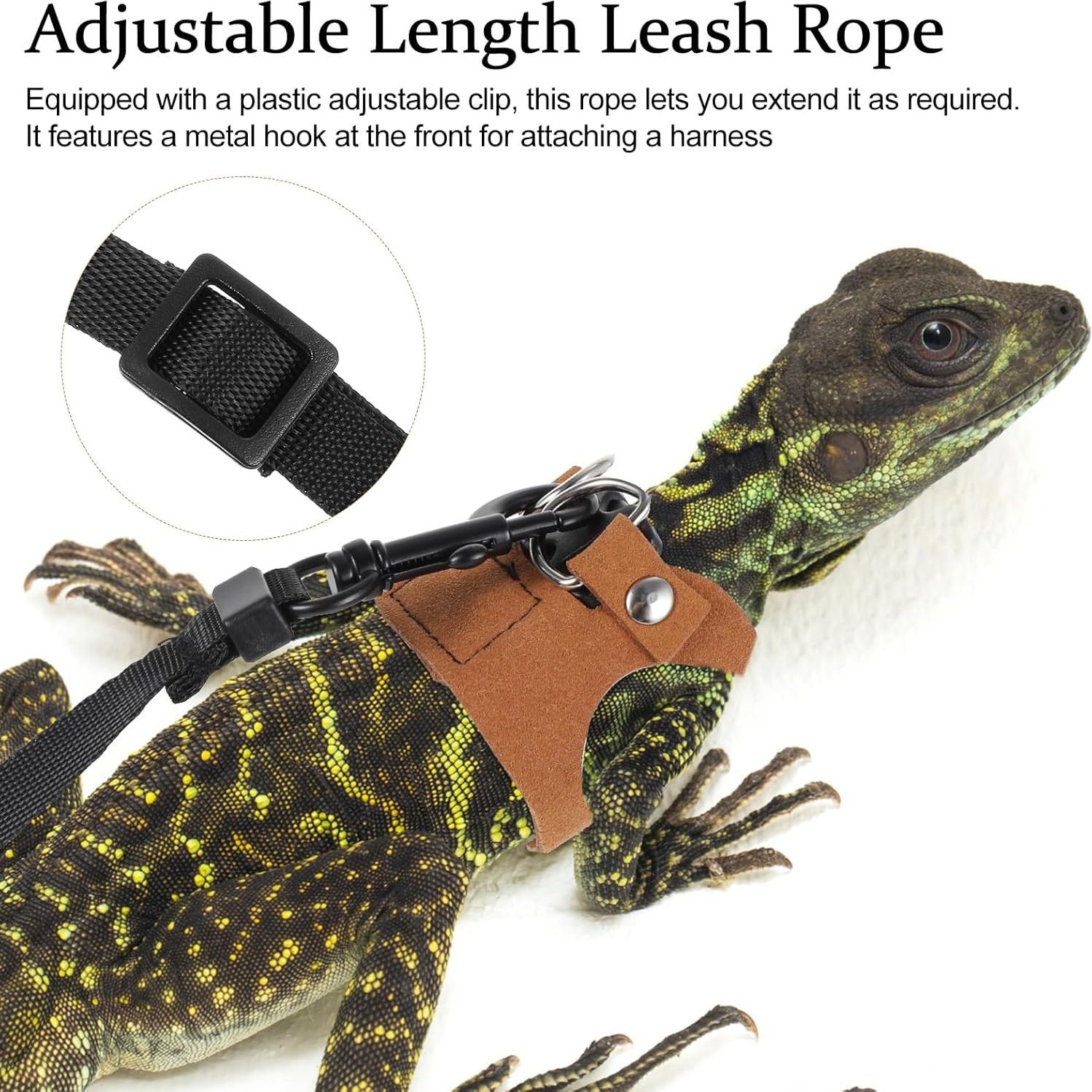 Juego de Arnés y Correa Ajustable Quilax para Dragón Barbudo