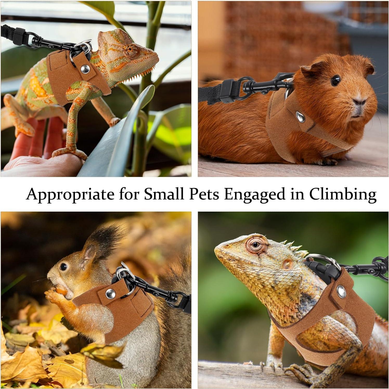 Juego de Arnés y Correa Ajustable Quilax para Dragón Barbudo