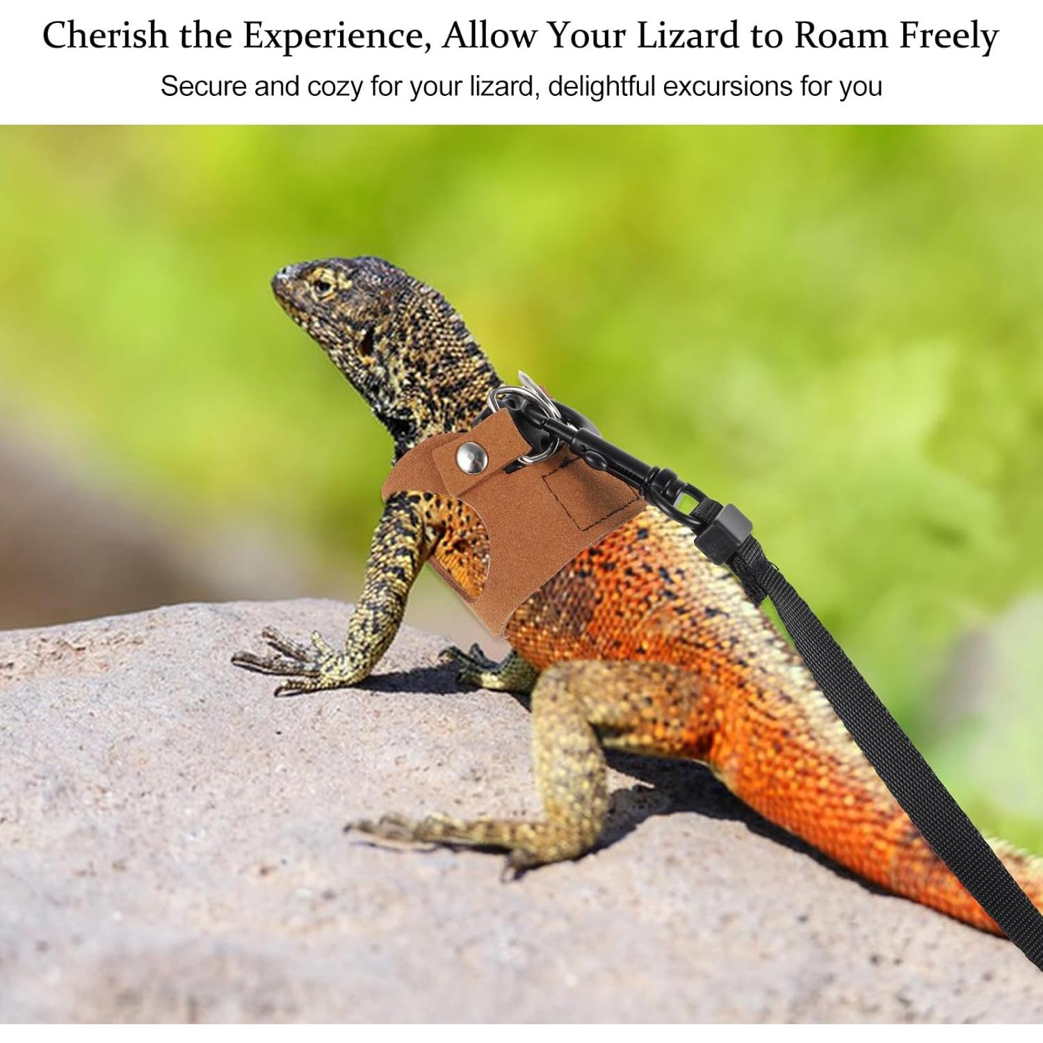 Juego de Arnés y Correa Ajustable Quilax para Dragón Barbudo