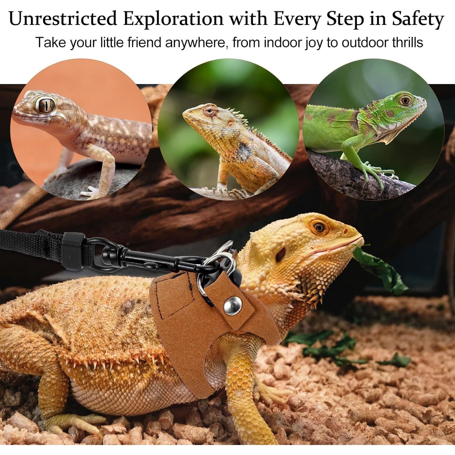 Juego de Arnés y Correa Ajustable Quilax para Dragón Barbudo