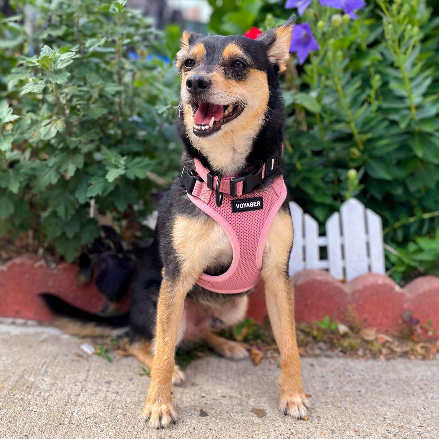 Arnés Ajustable para Mascotas Best Pet Supplies Rosa XS