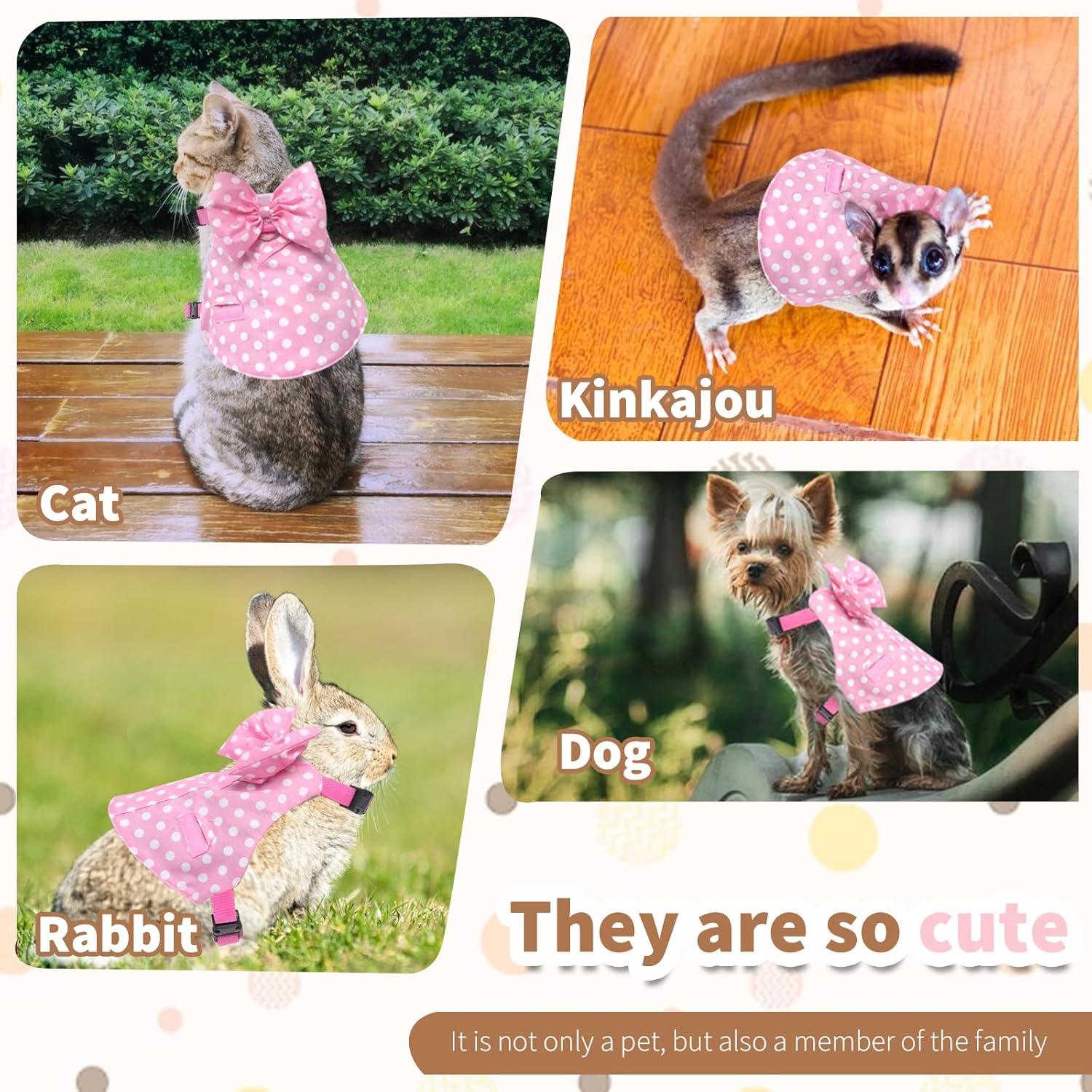 Conjunto Arnés y Correa para Conejos Habbiful Rosa S