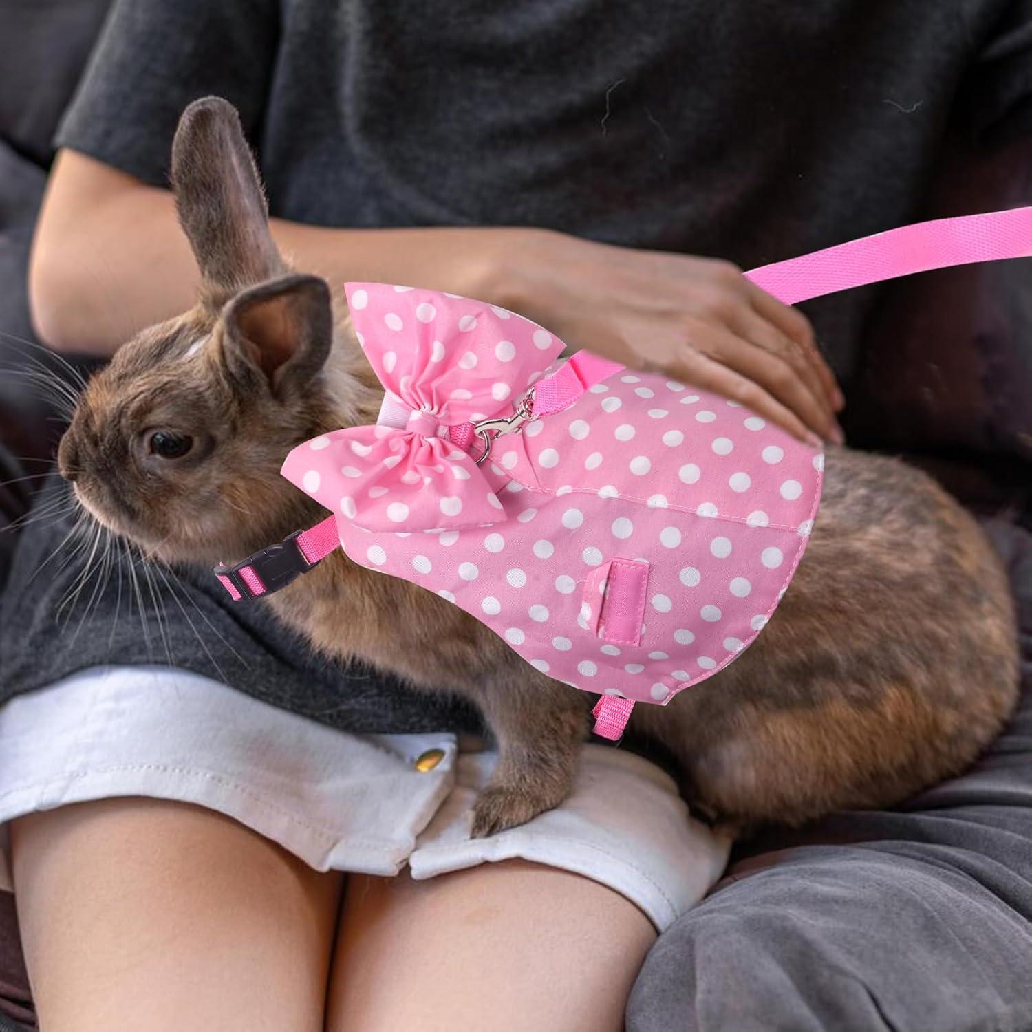 Conjunto Arnés y Correa para Conejos Habbiful Rosa S