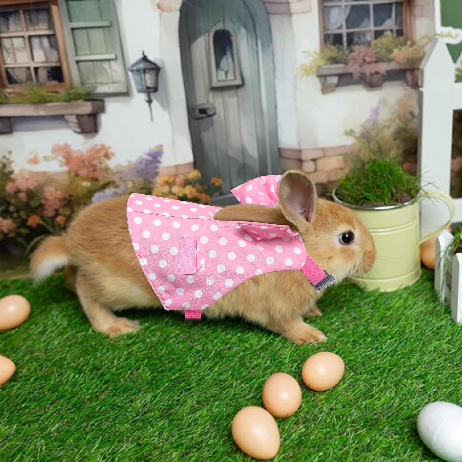 Conjunto Arnés y Correa para Conejos Habbiful Rosa S