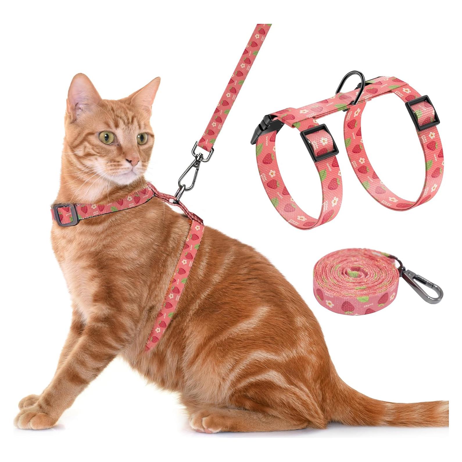 Conjunto Arnés y Correa Seyezo para Gatos Pequeños Rosa