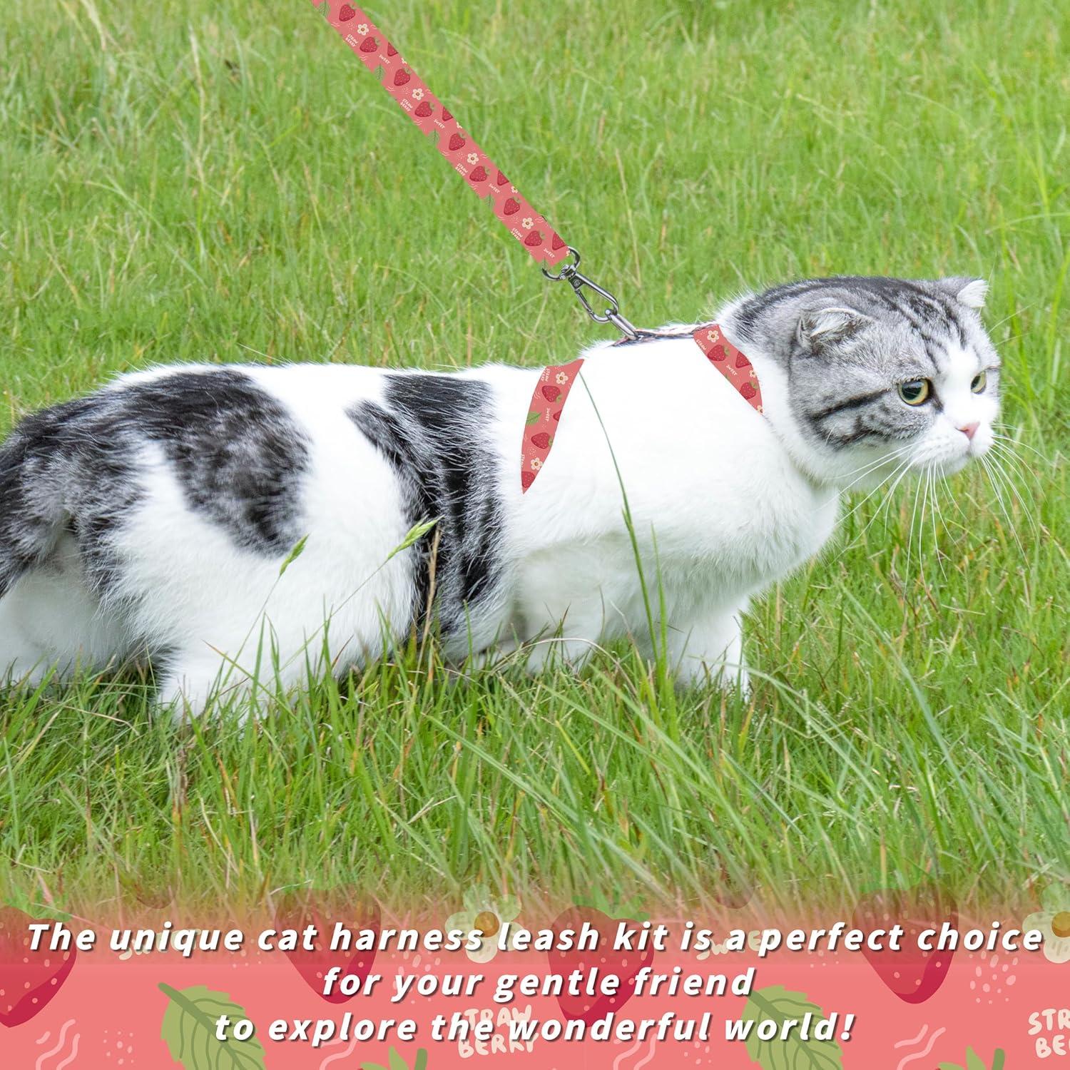 Conjunto Arnés y Correa Seyezo para Gatos Pequeños Rosa