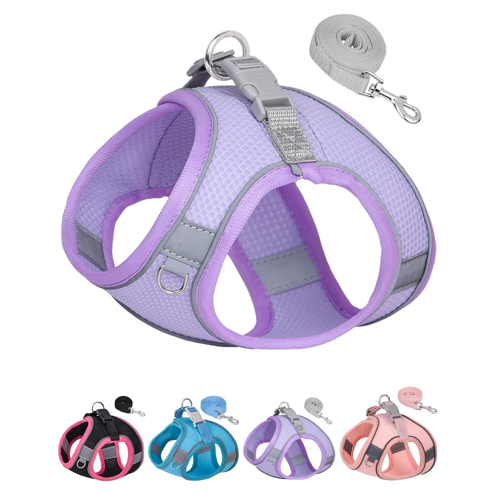 Arnés y Correa para Perro Pequeño y Mediano Aecllcea XS Púrpura