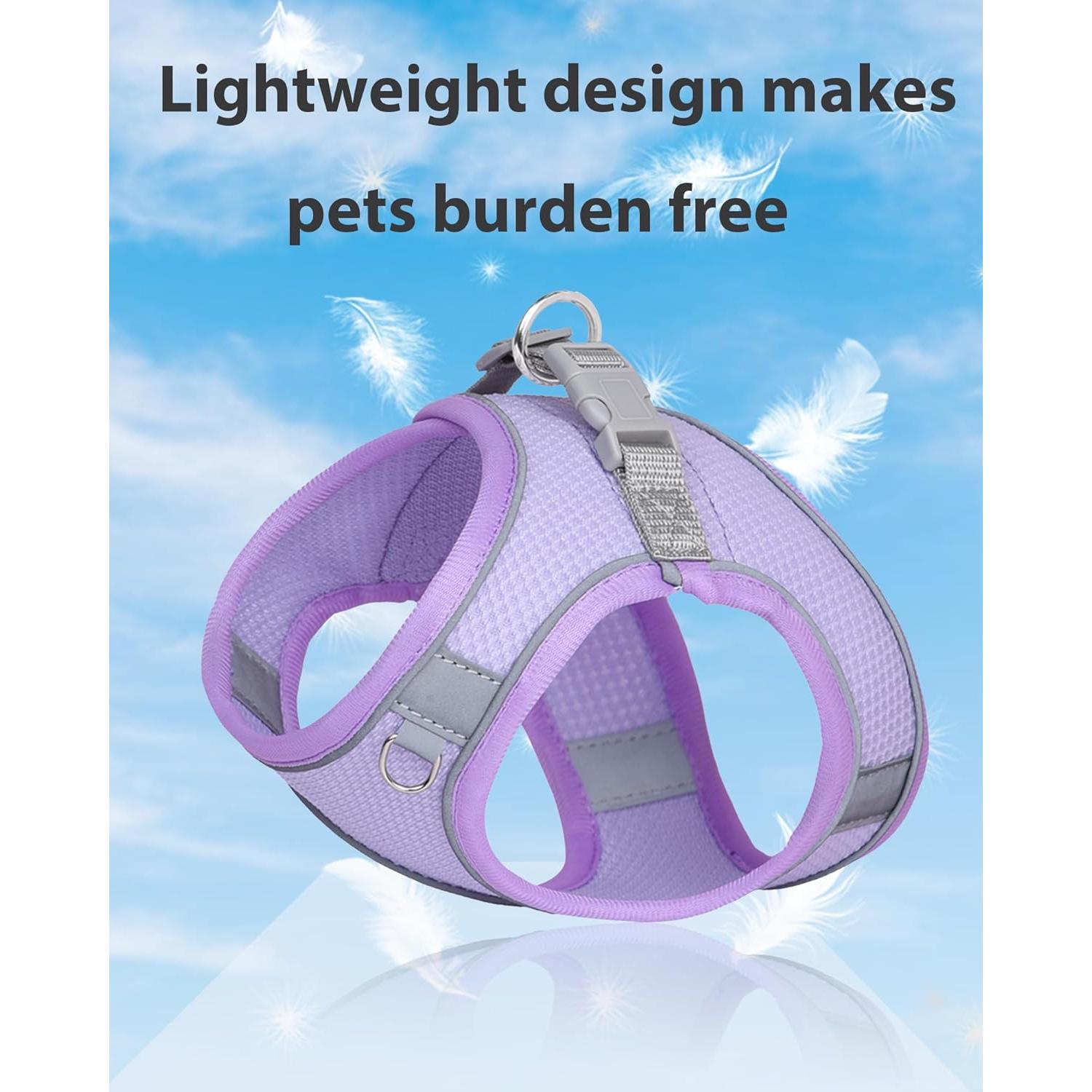 Arnés y Correa para Perro Pequeño y Mediano Aecllcea XS Púrpura