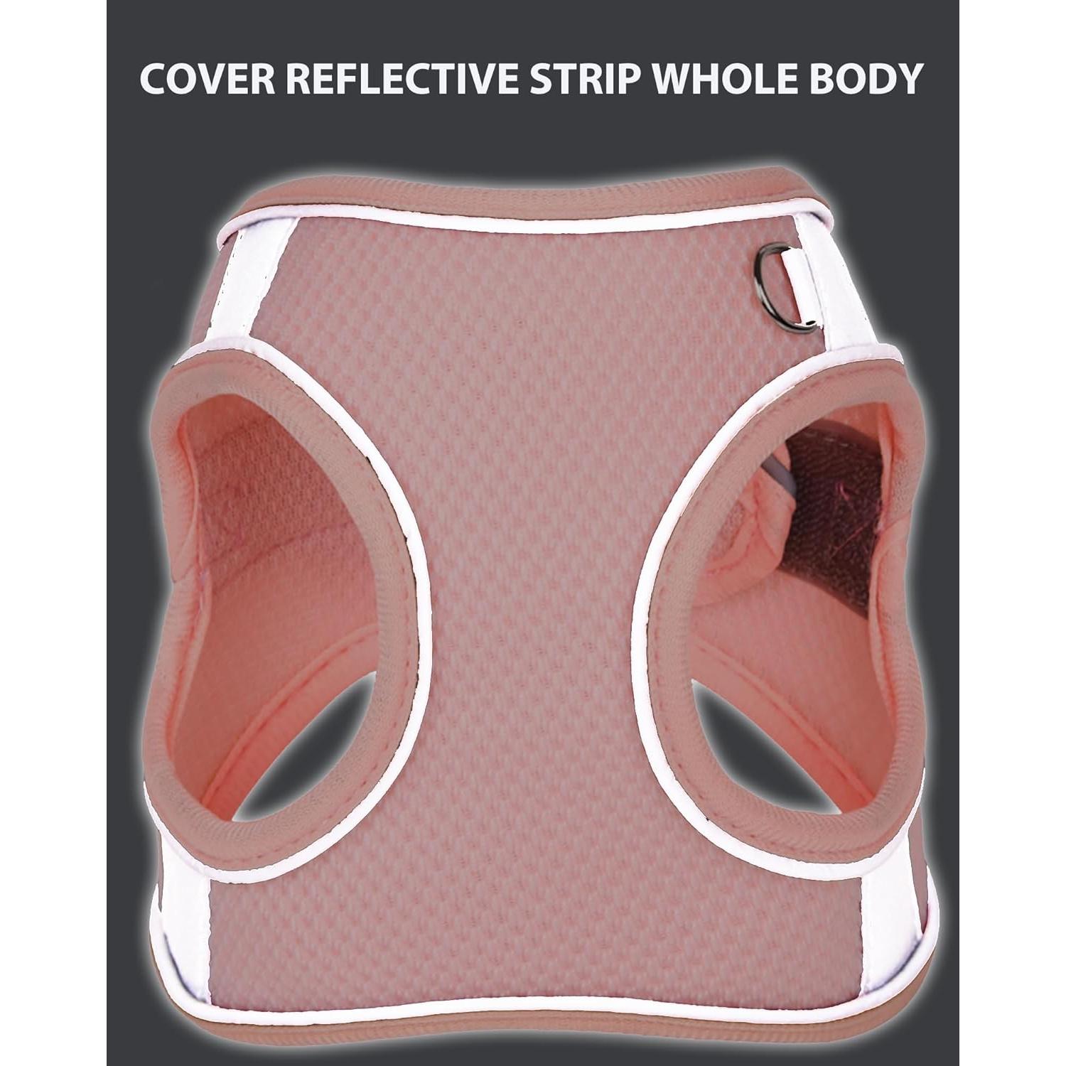 Arnés y Correa para Perro Pequeño y Mediano Aecllcea XS Púrpura