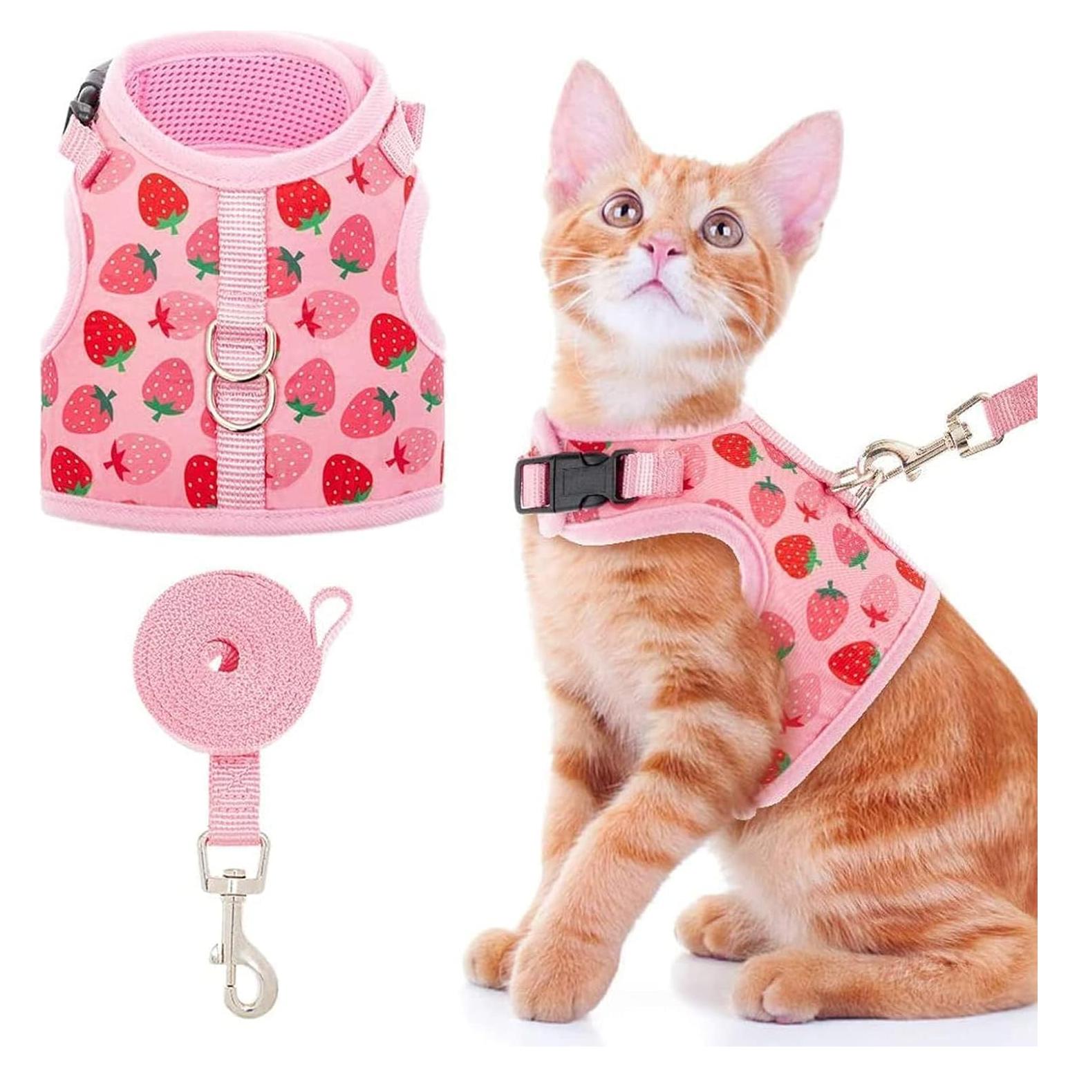 Arnés para Gato BINGPET Mediano Fresa Ajustable y Seguro