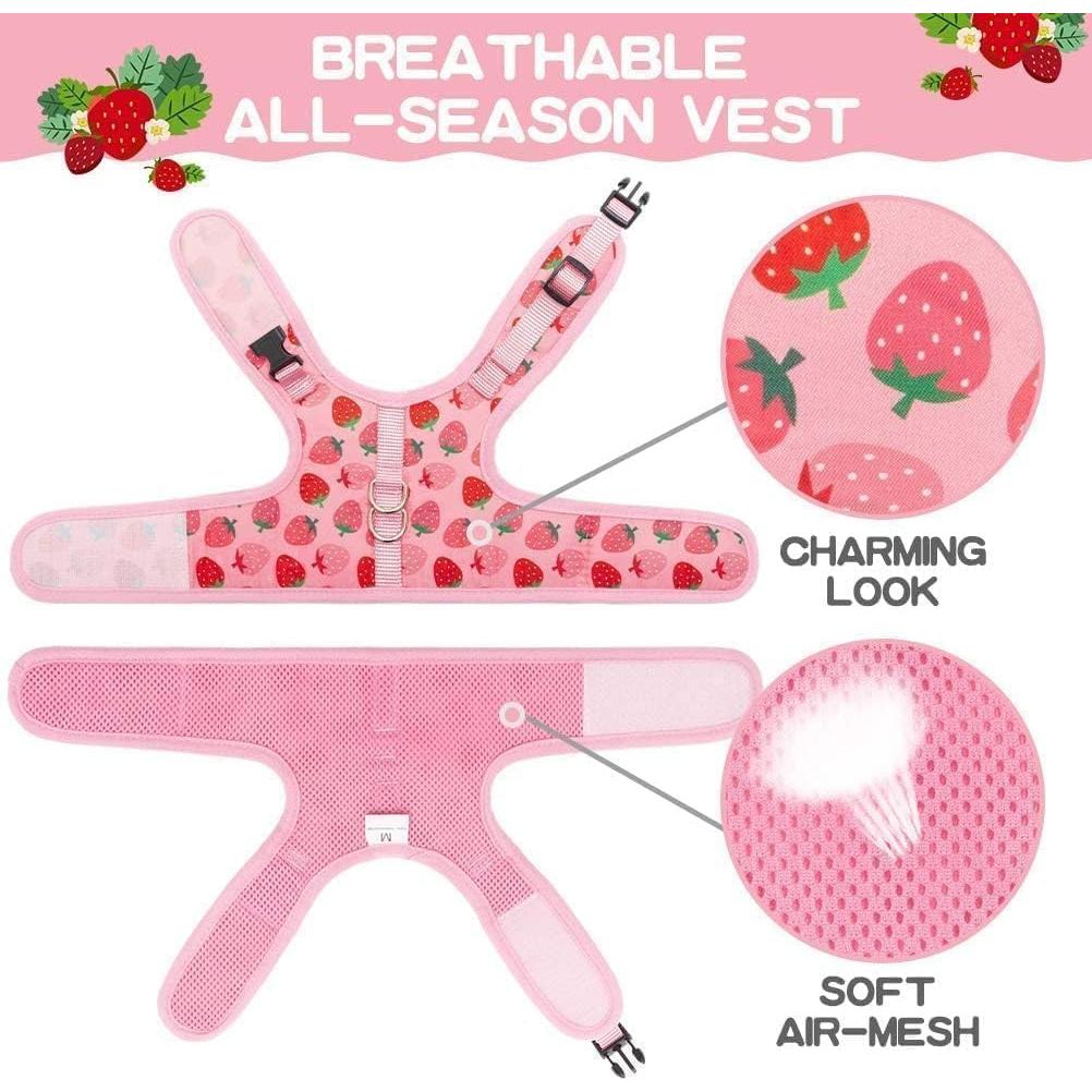 Arnés para Gato BINGPET Mediano Fresa Ajustable y Seguro