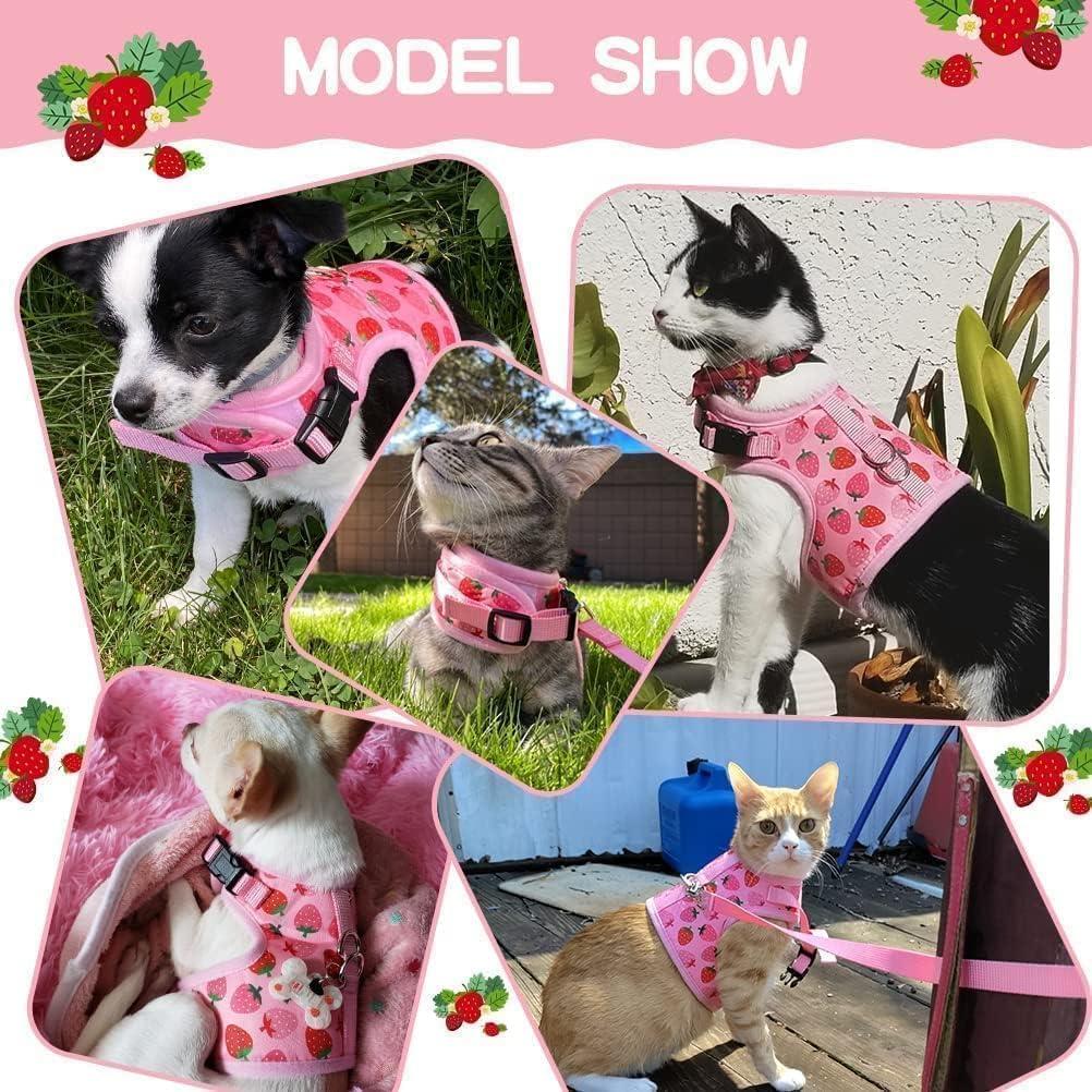 Arnés para Gato BINGPET Mediano Fresa Ajustable y Seguro