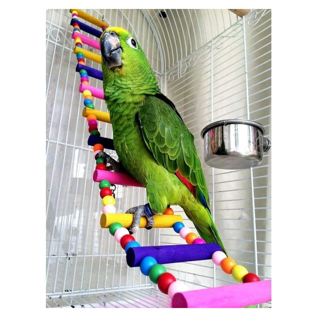 Juguete de Escalera para Aves Litewood 60 cm Colorido
