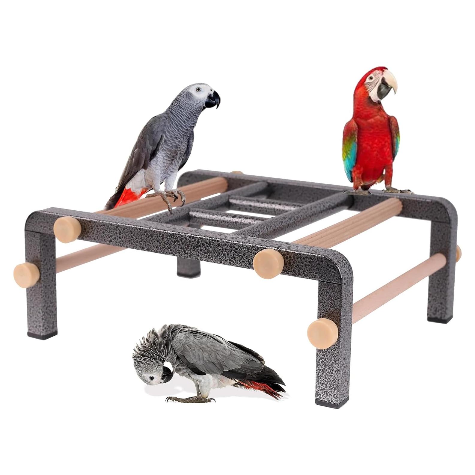 Perch de Entrenamiento para Aves Grandes Halinfer - Escalera de Metal y Madera