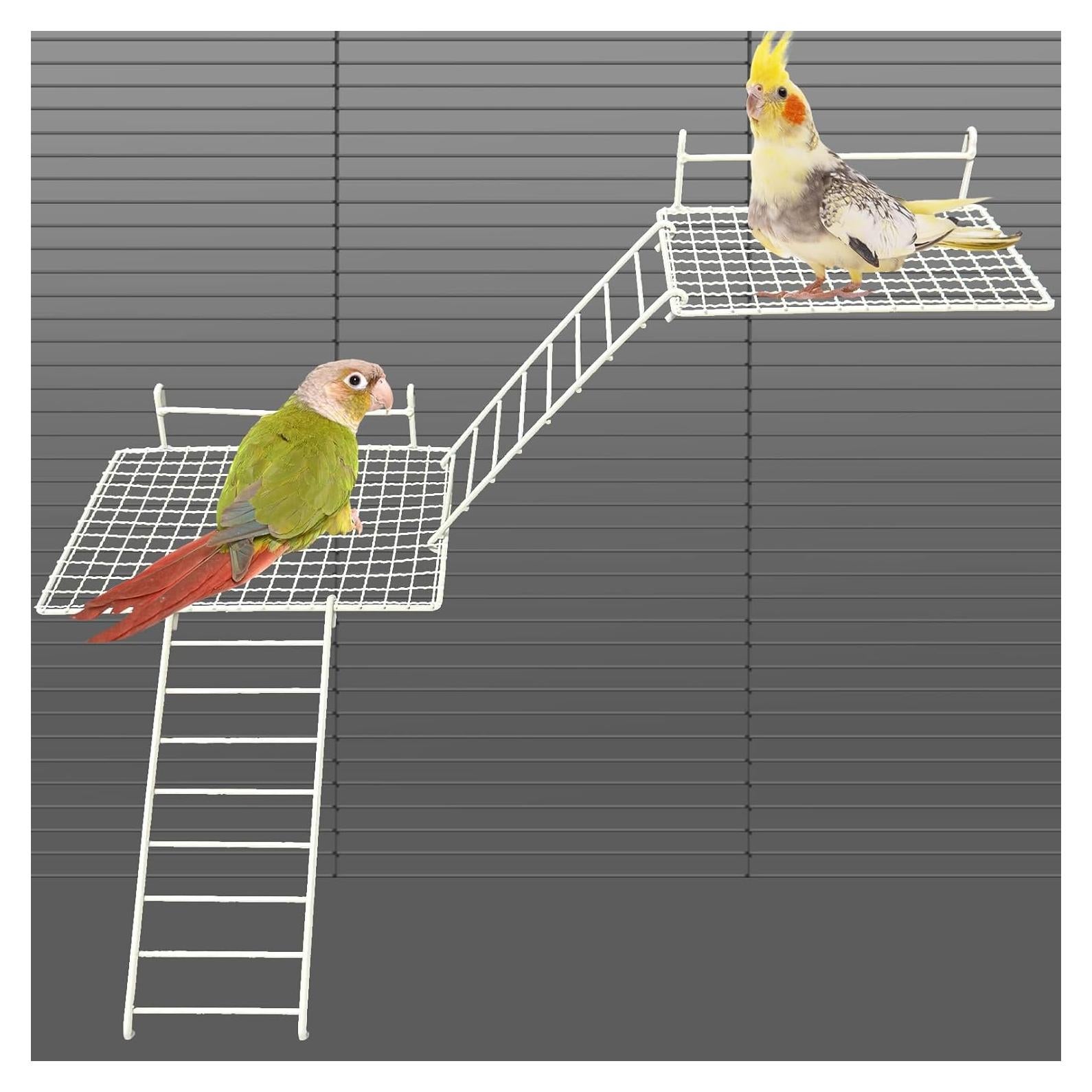 Plataforma para Perchas de Aves BNOSDM 4 Piezas Acero Inoxidable