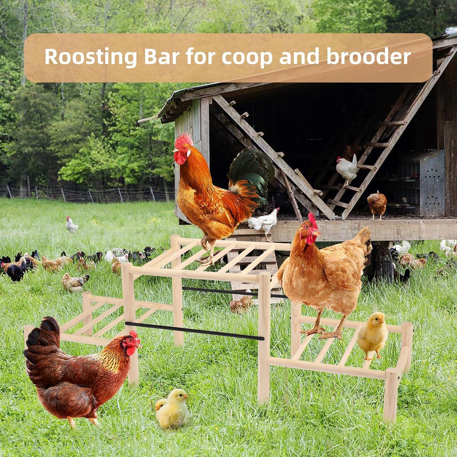 Percha para Pollitos Moyardow de Madera de Haya 88.4x30.5x30cm