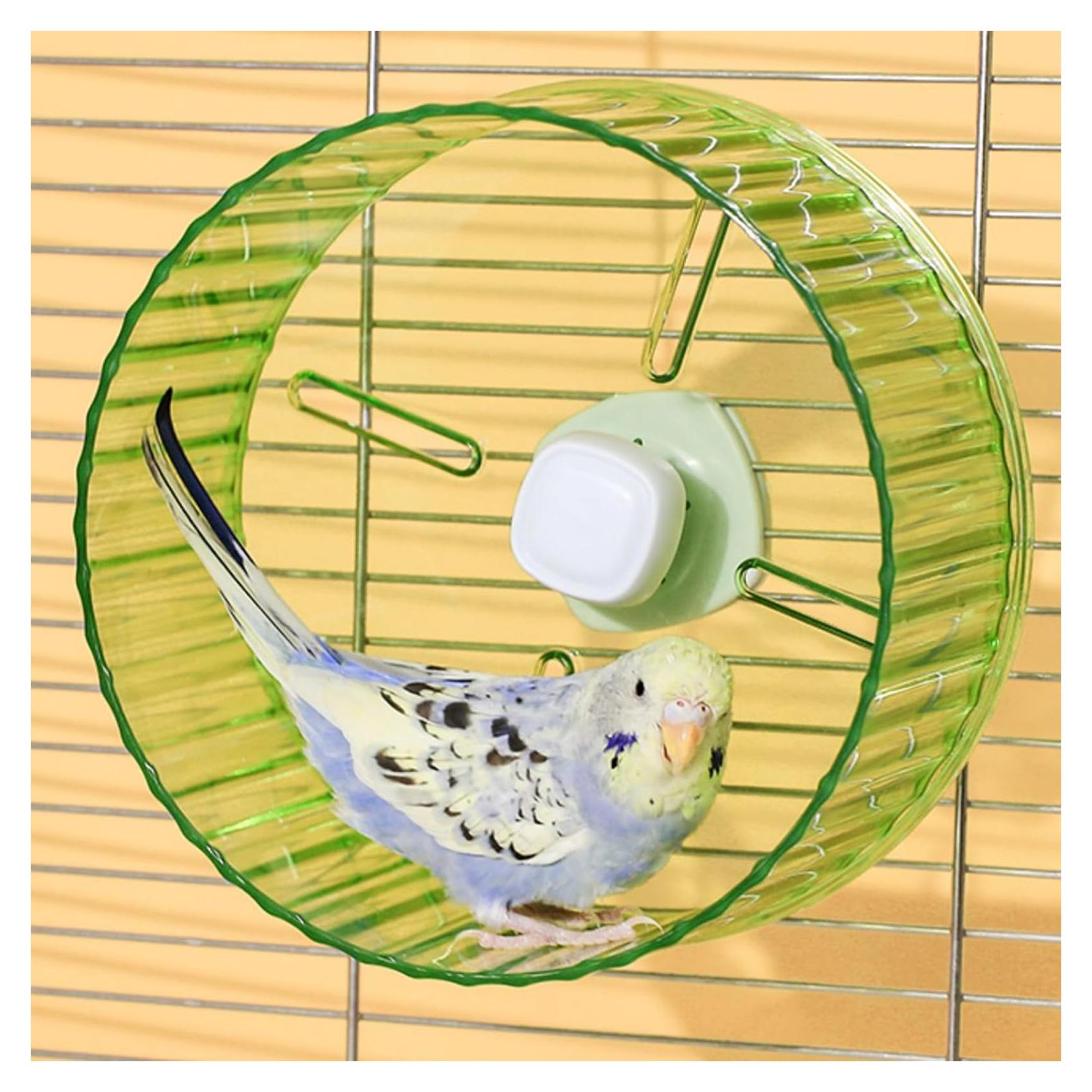 Rueda de Correr Silenciosa Slepceub para Loros 17.3 cm Verde