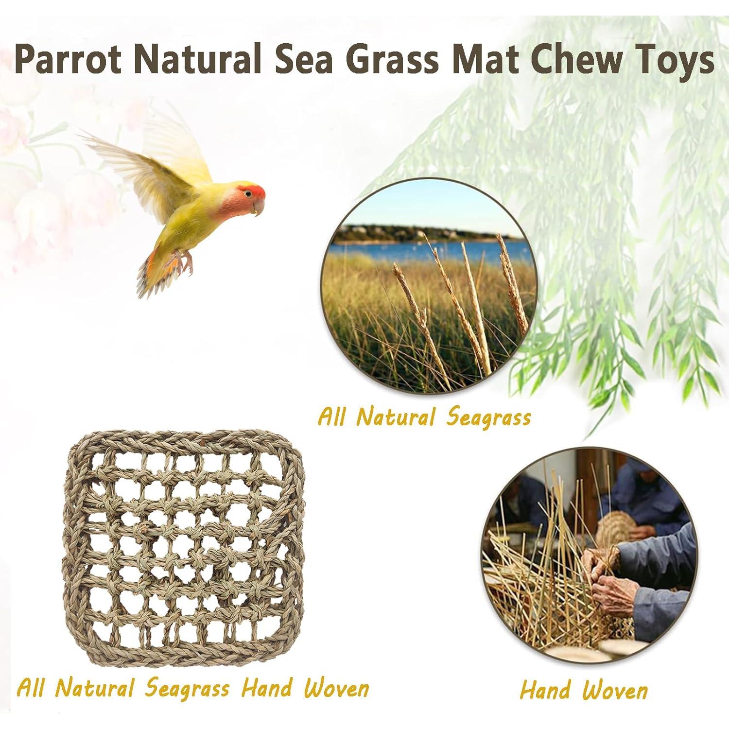 Alfombra de Hierba Marina BNOSDM 18x18 cm para Aves 3 PCS