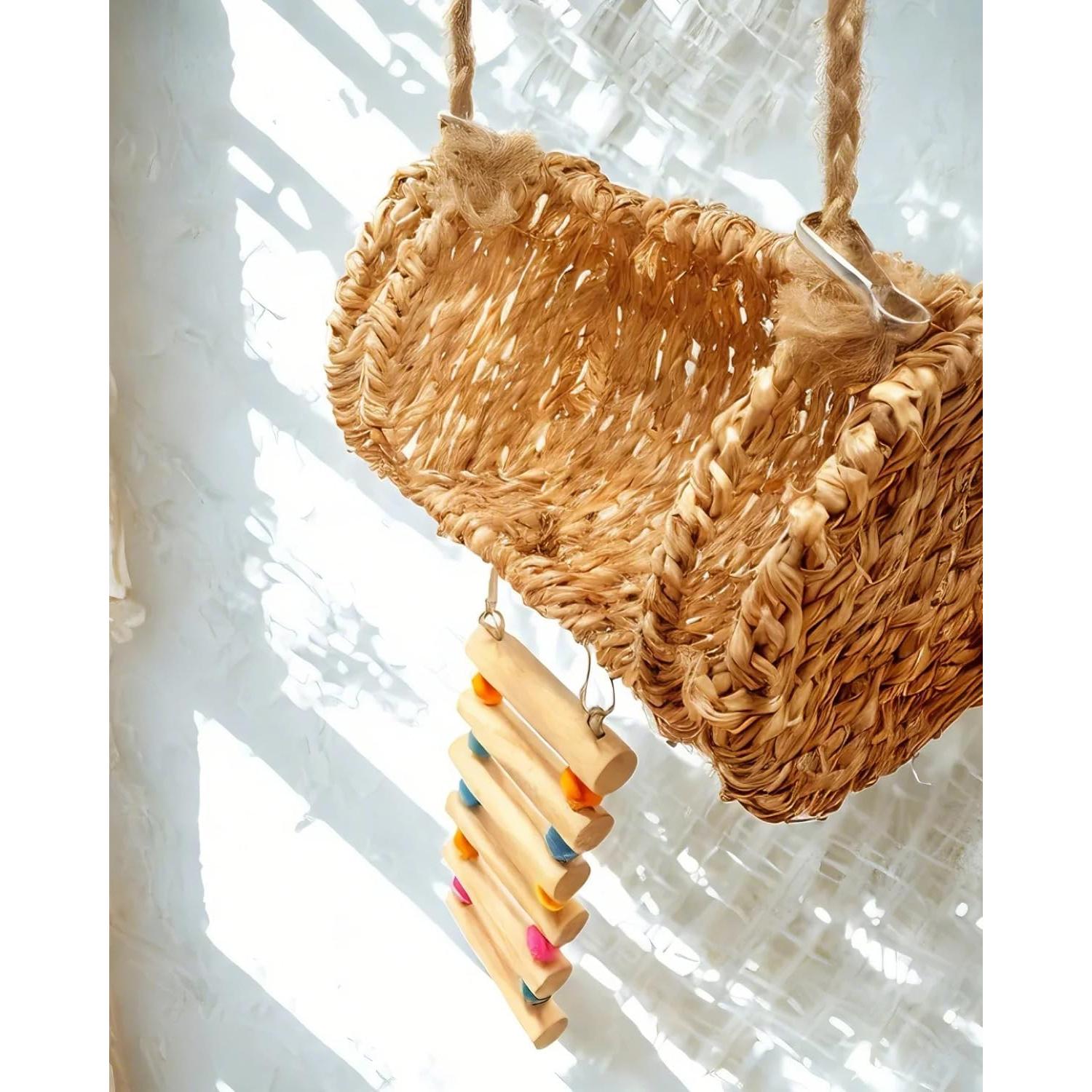 Escondite de Cangrejo Ermitaño Aiqriwv con Escalera de Madera