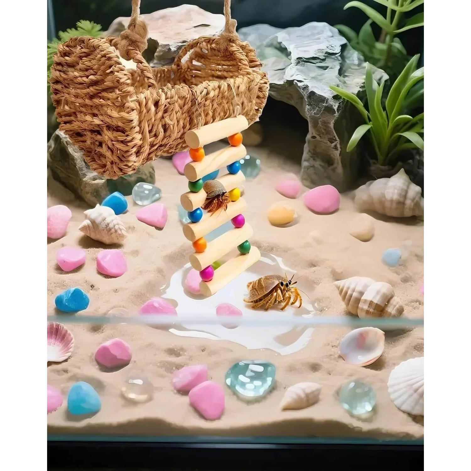 Escondite de Cangrejo Ermitaño Aiqriwv con Escalera de Madera