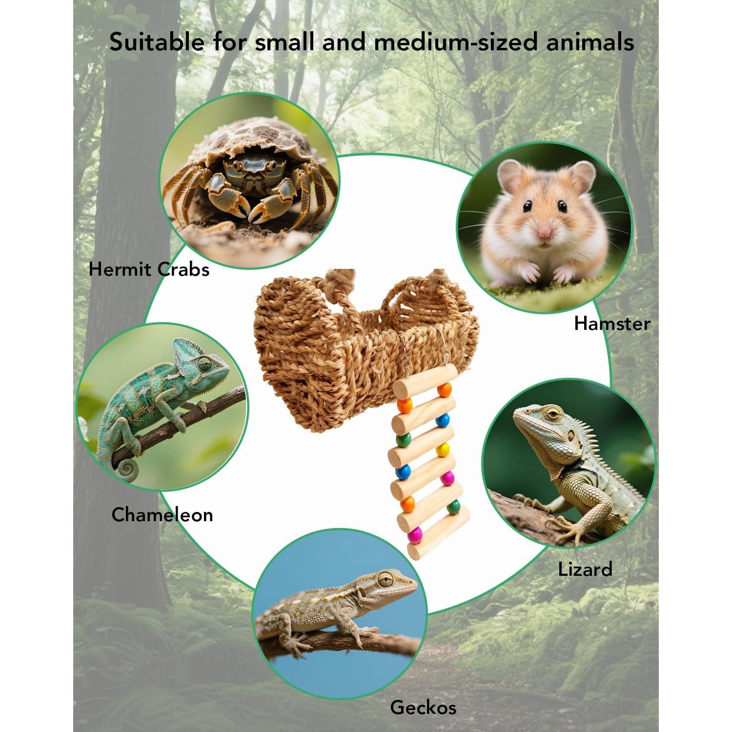 Escondite de Cangrejo Ermitaño Aiqriwv con Escalera de Madera