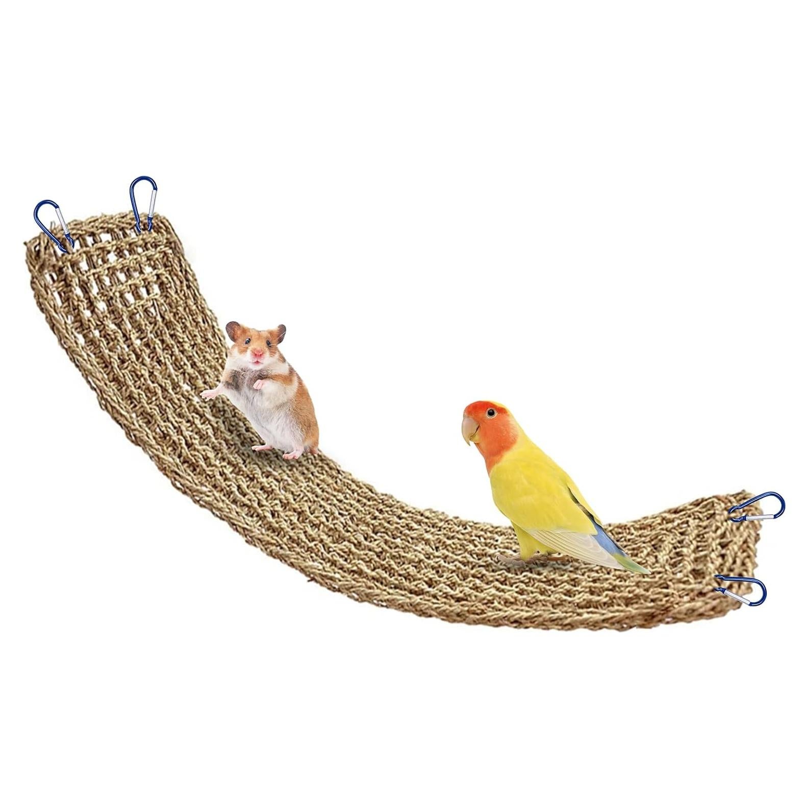 Alfombra de Hierba Marina para Aves XiyaxiVici 52 x 20 cm