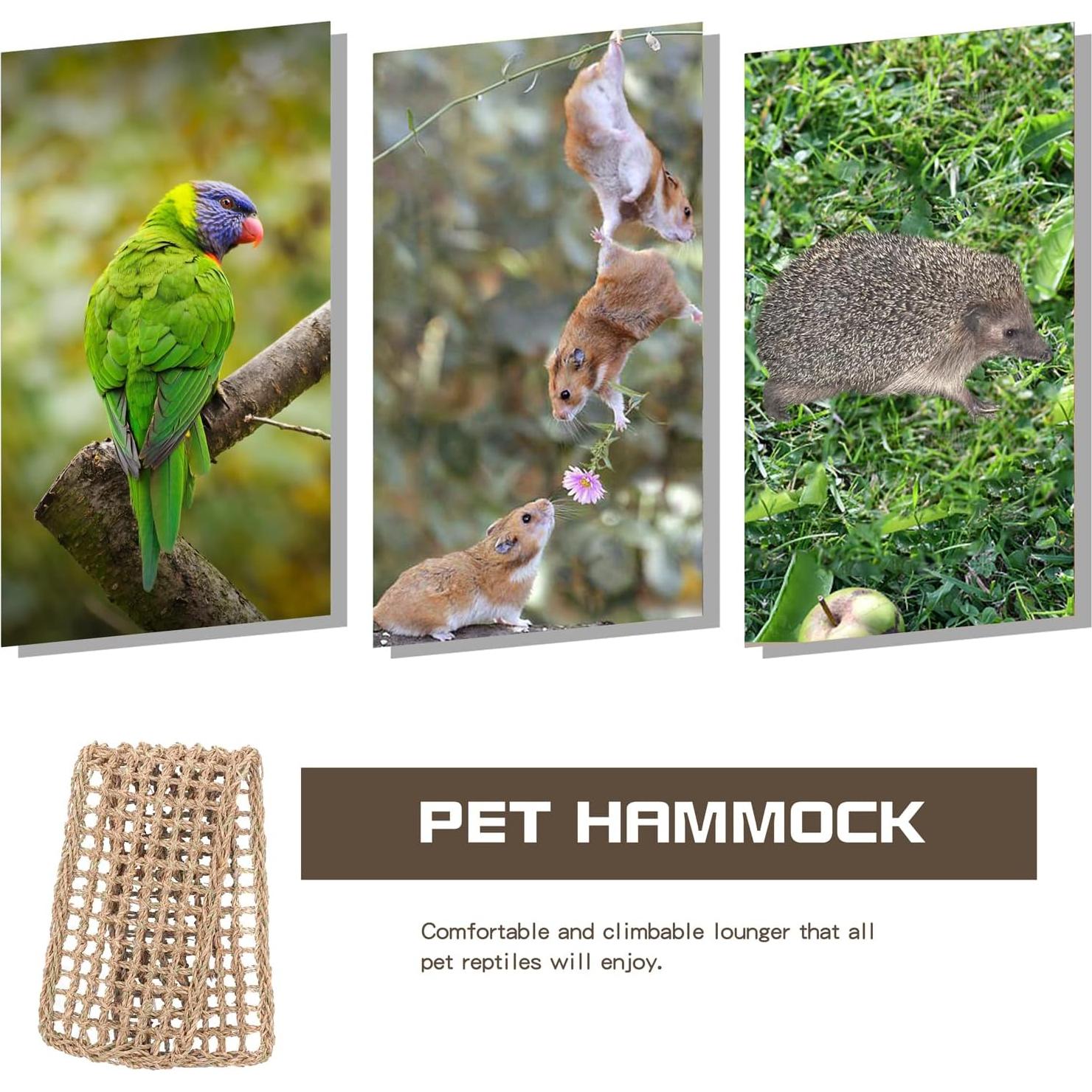 Alfombra de Hierba Marina para Aves XiyaxiVici 52 x 20 cm