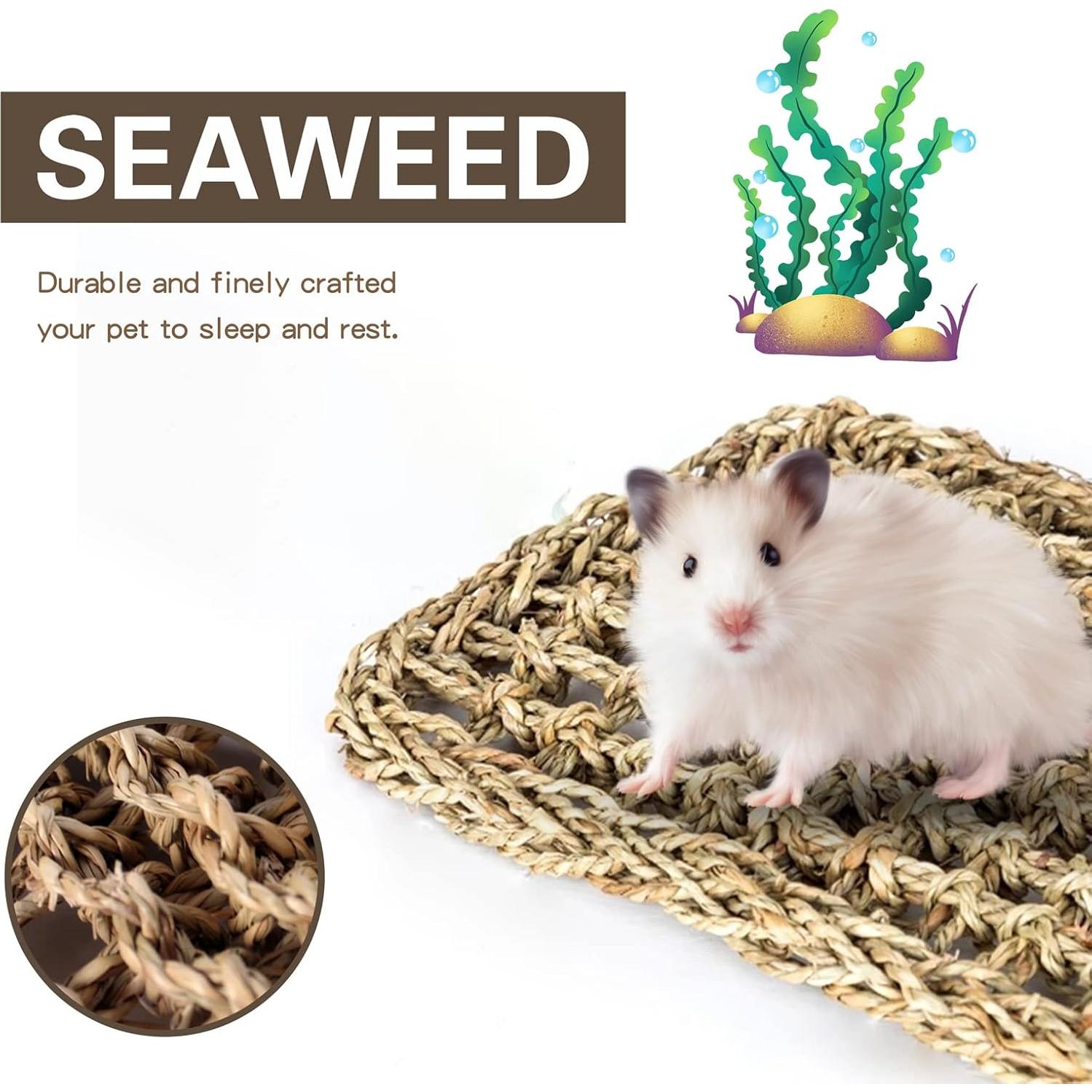 Alfombra de Hierba Marina para Aves XiyaxiVici 52 x 20 cm